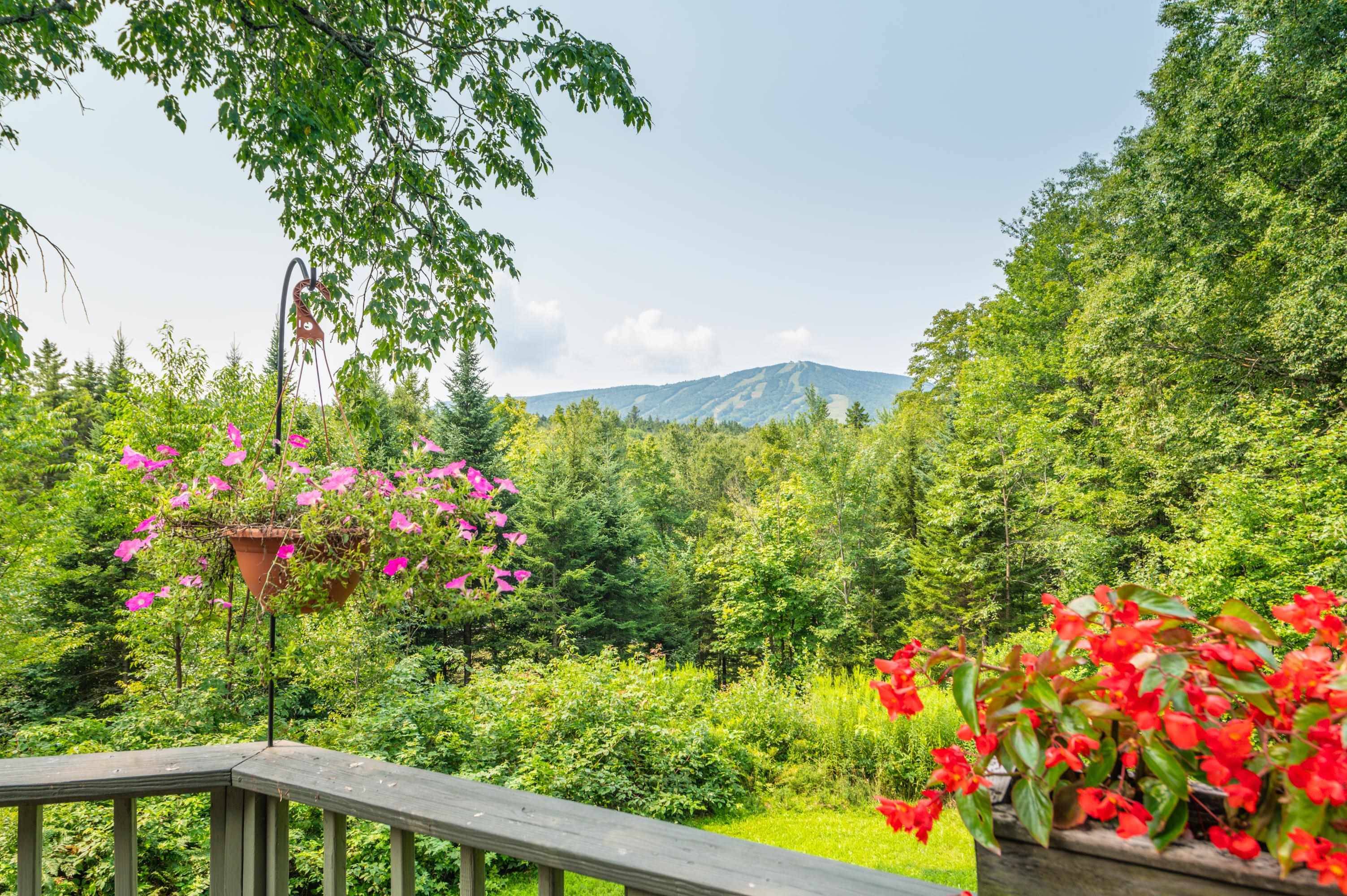 Dover, VT 05356,15 View Point RD