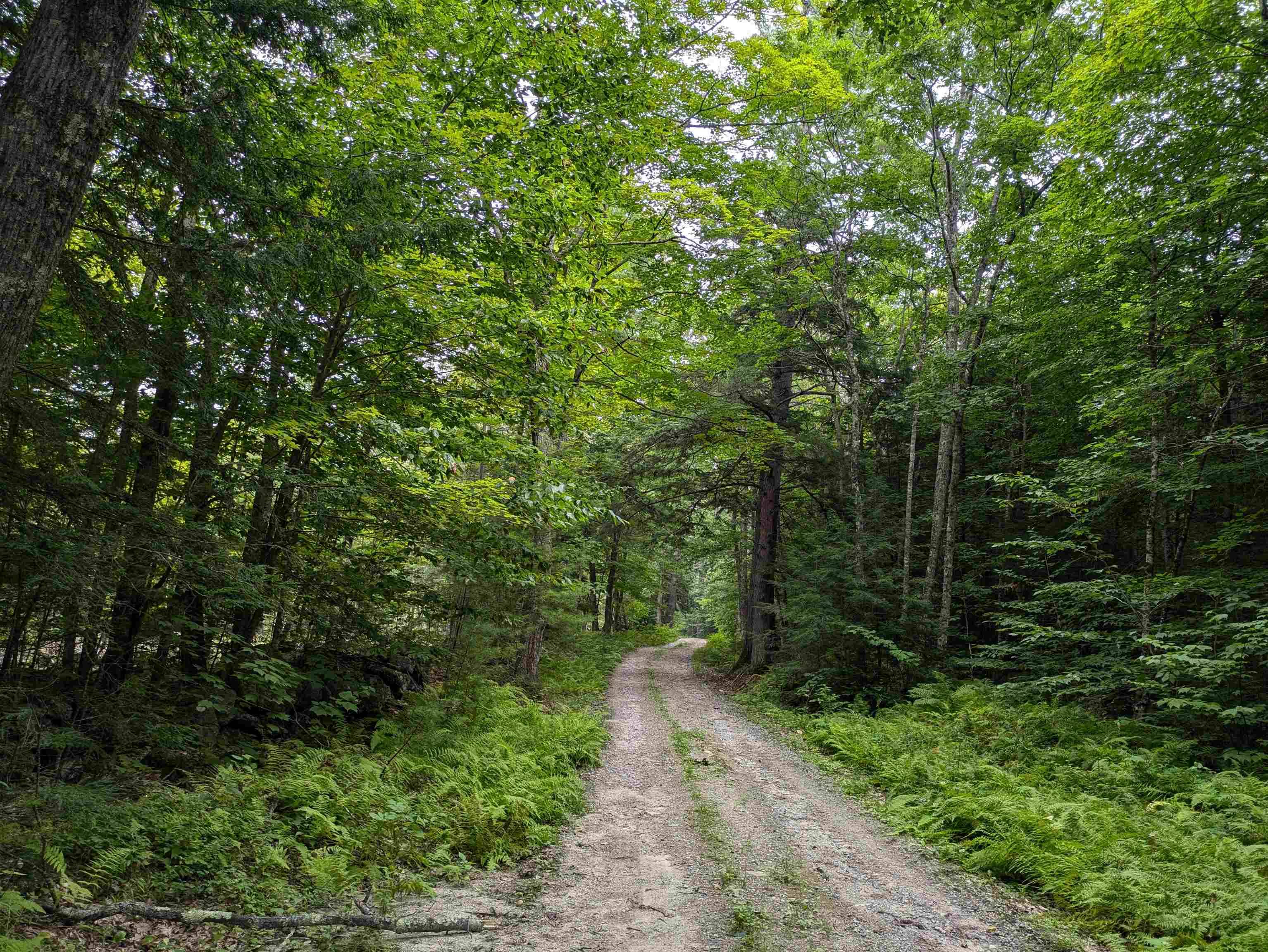 Sutton, NH 03221,Lot Eaton Grange RD