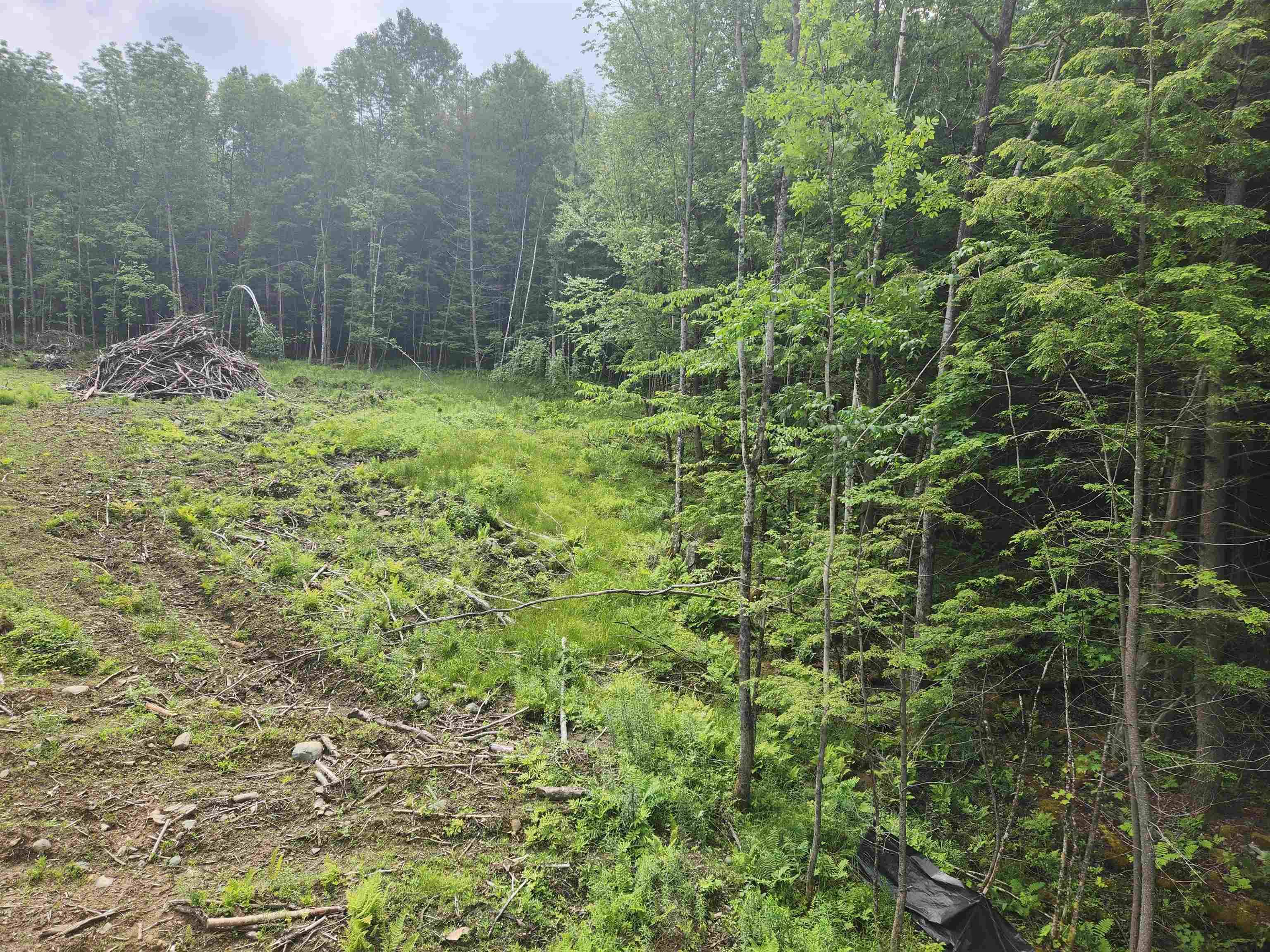 Cornish, NH 03745,763 Center RD