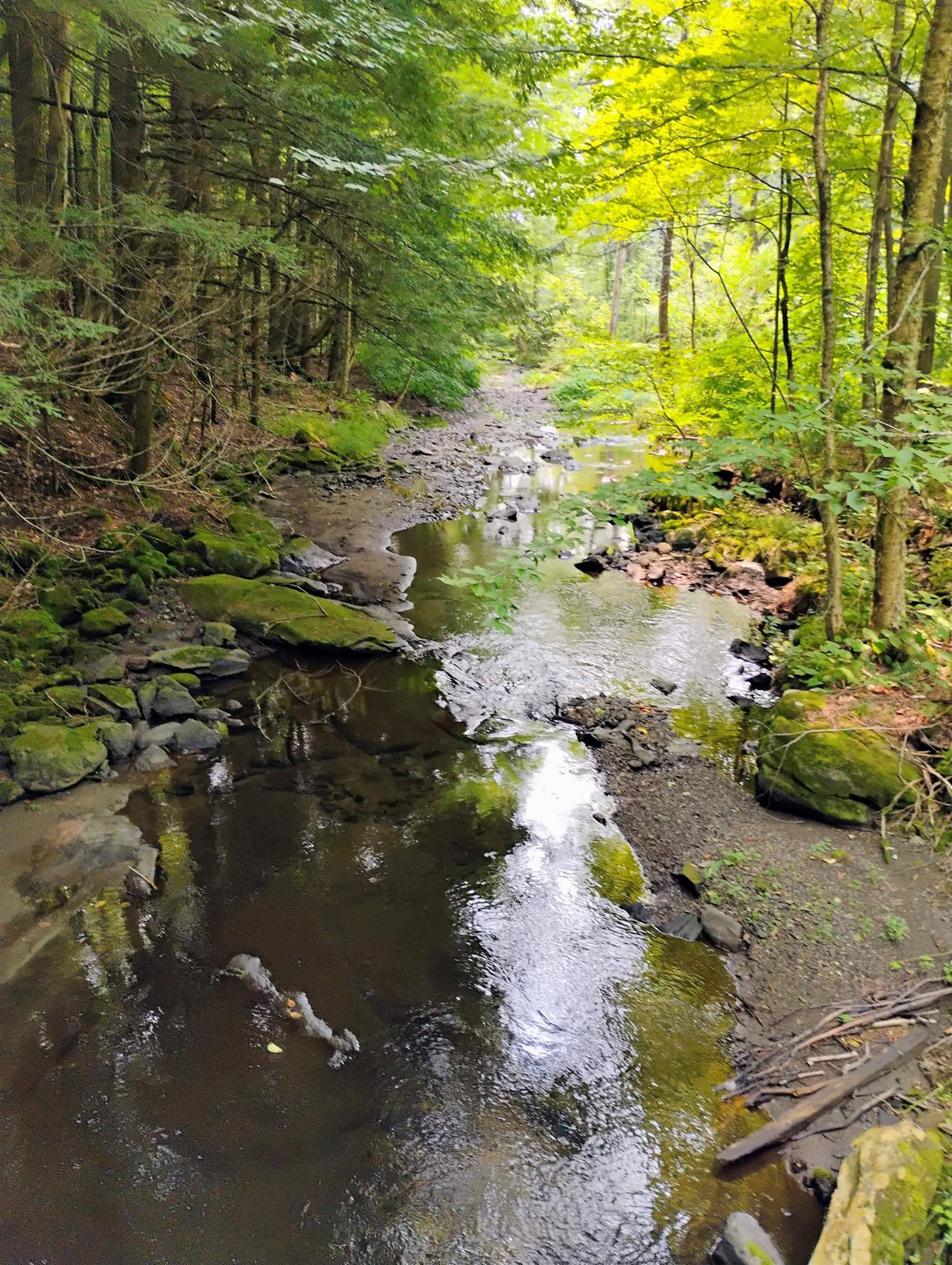 Cornish, NH 03745,763 Center RD