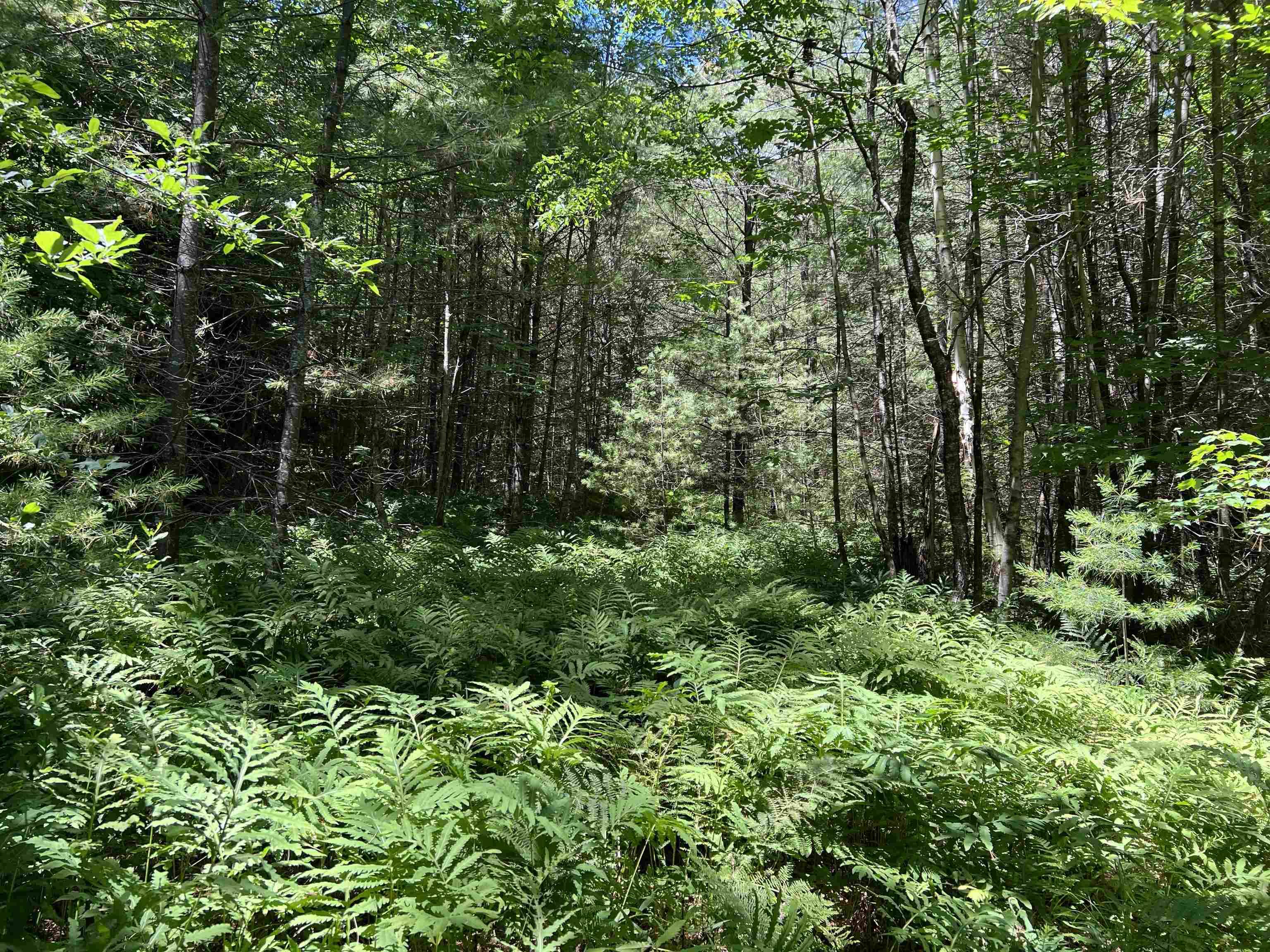 Thornton, NH 03285,000 Upper Mad River RD
