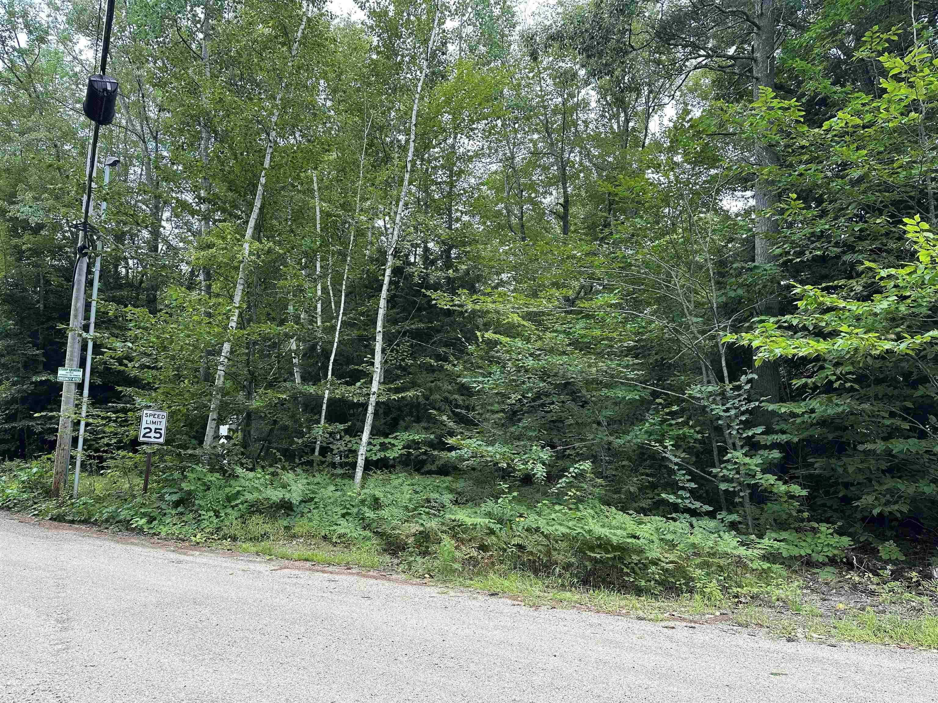Middleton, NH 03887,Fox RD #lot 55