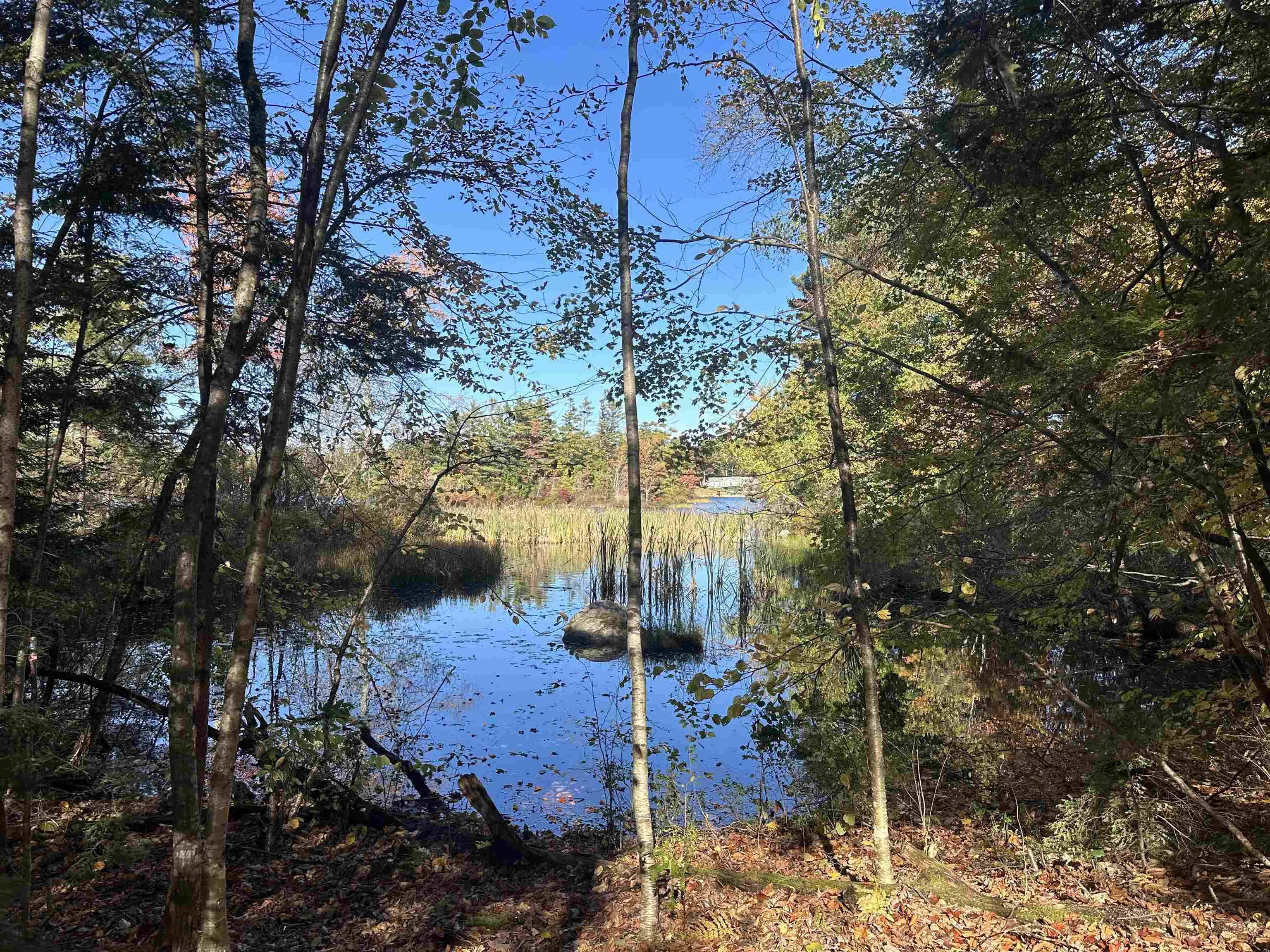 Middleton, NH 03887,50 Auclair RD #lot 43 & 65