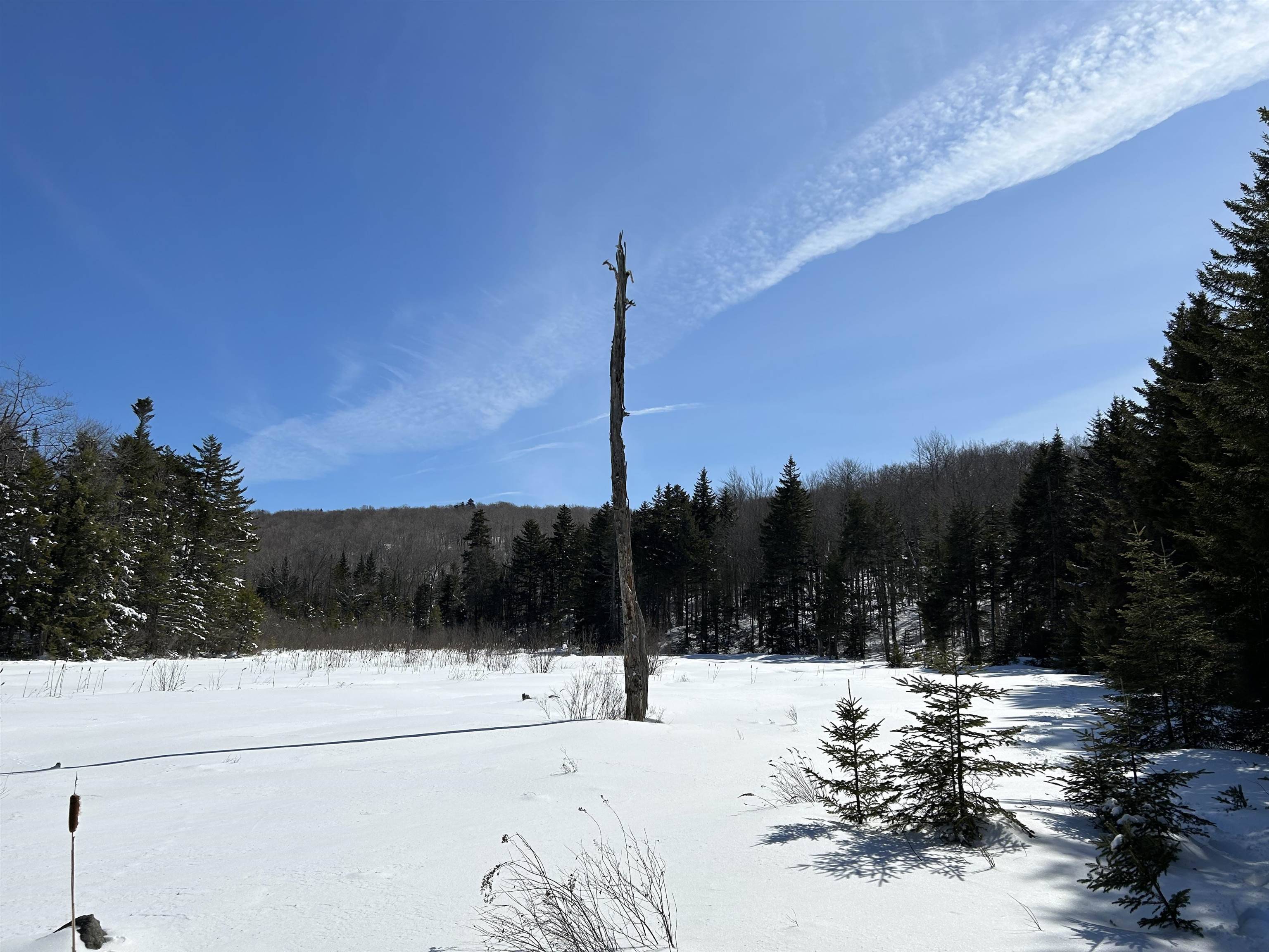 Searsburg, VT 05363,1625 VT Route 9