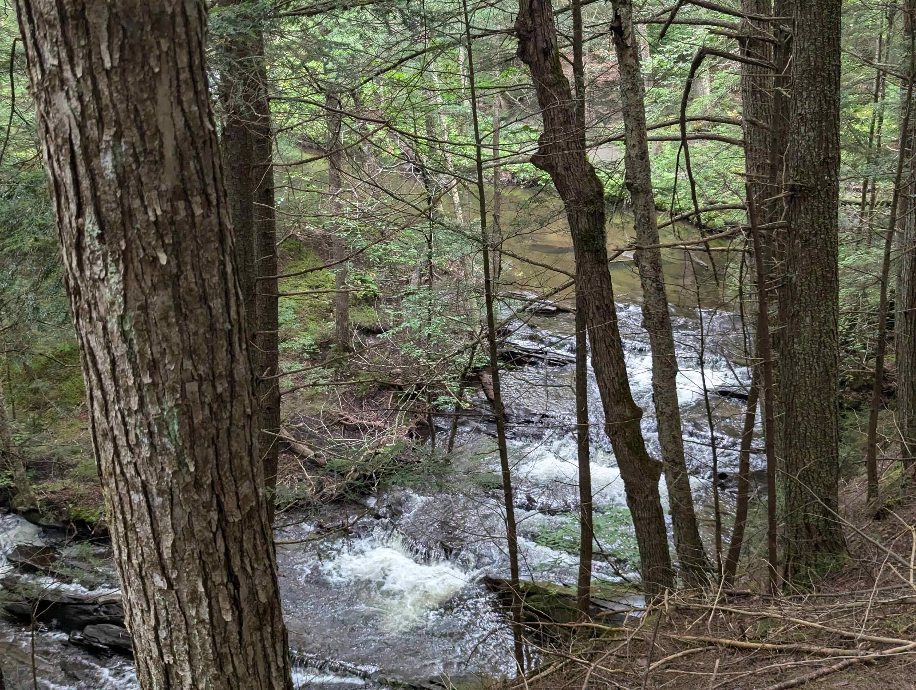 187 East Hill RD Woodbury, VT 05681