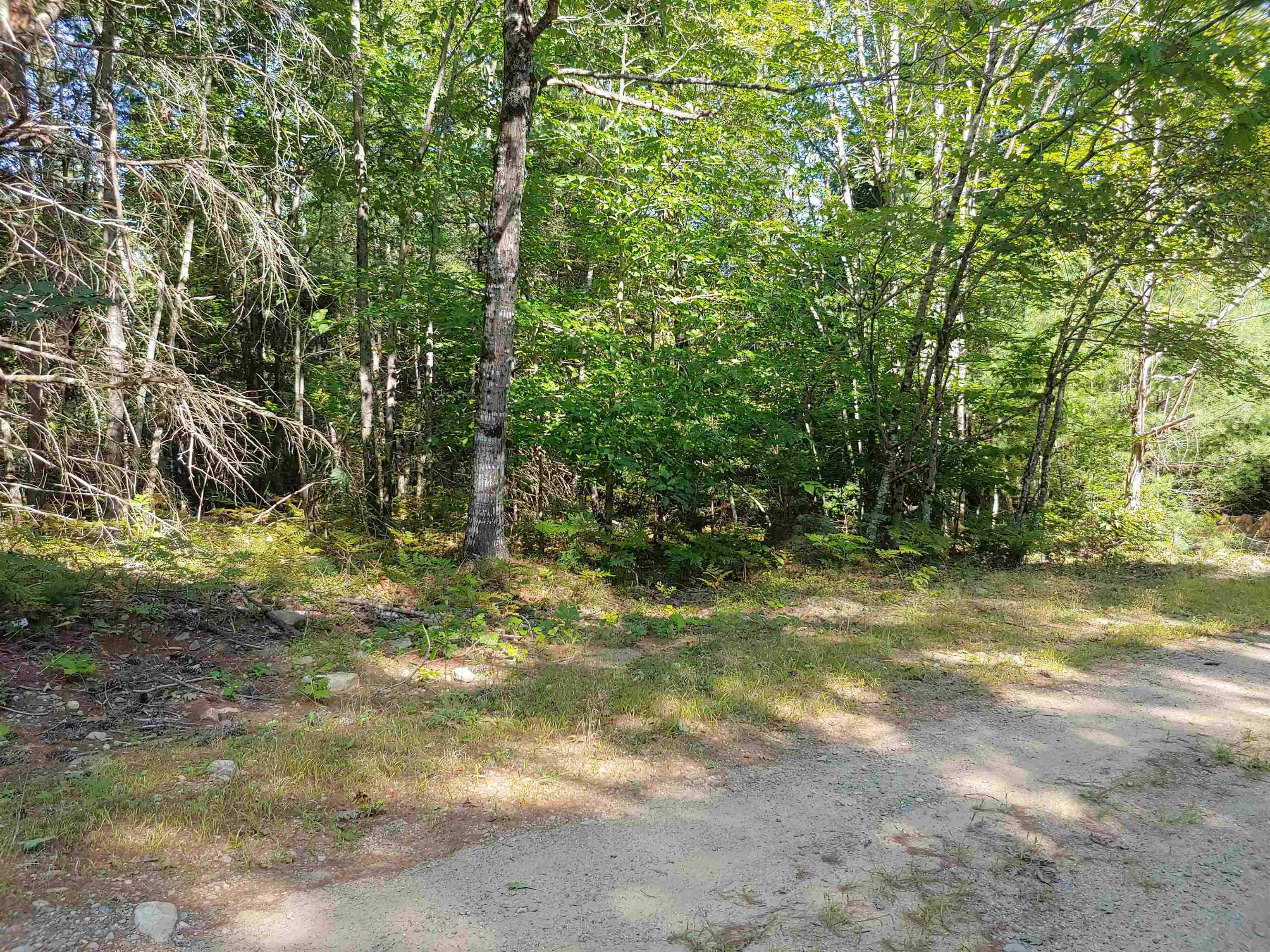 Barnstead, NH 03225,Lot 5 Spruce CT