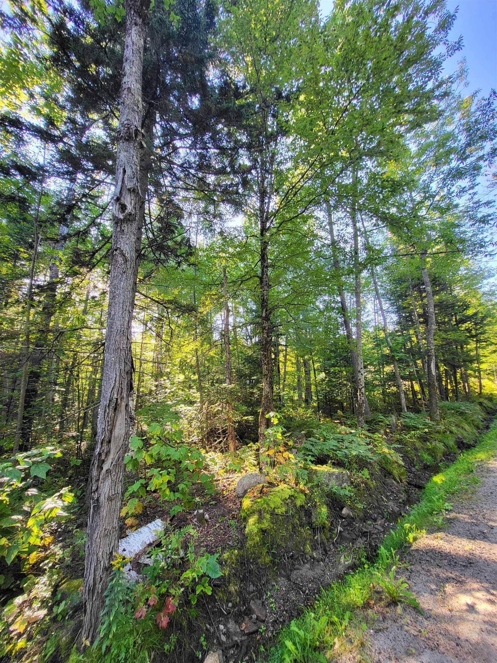 Bethlehem, NH 03574,00 Swazey LN