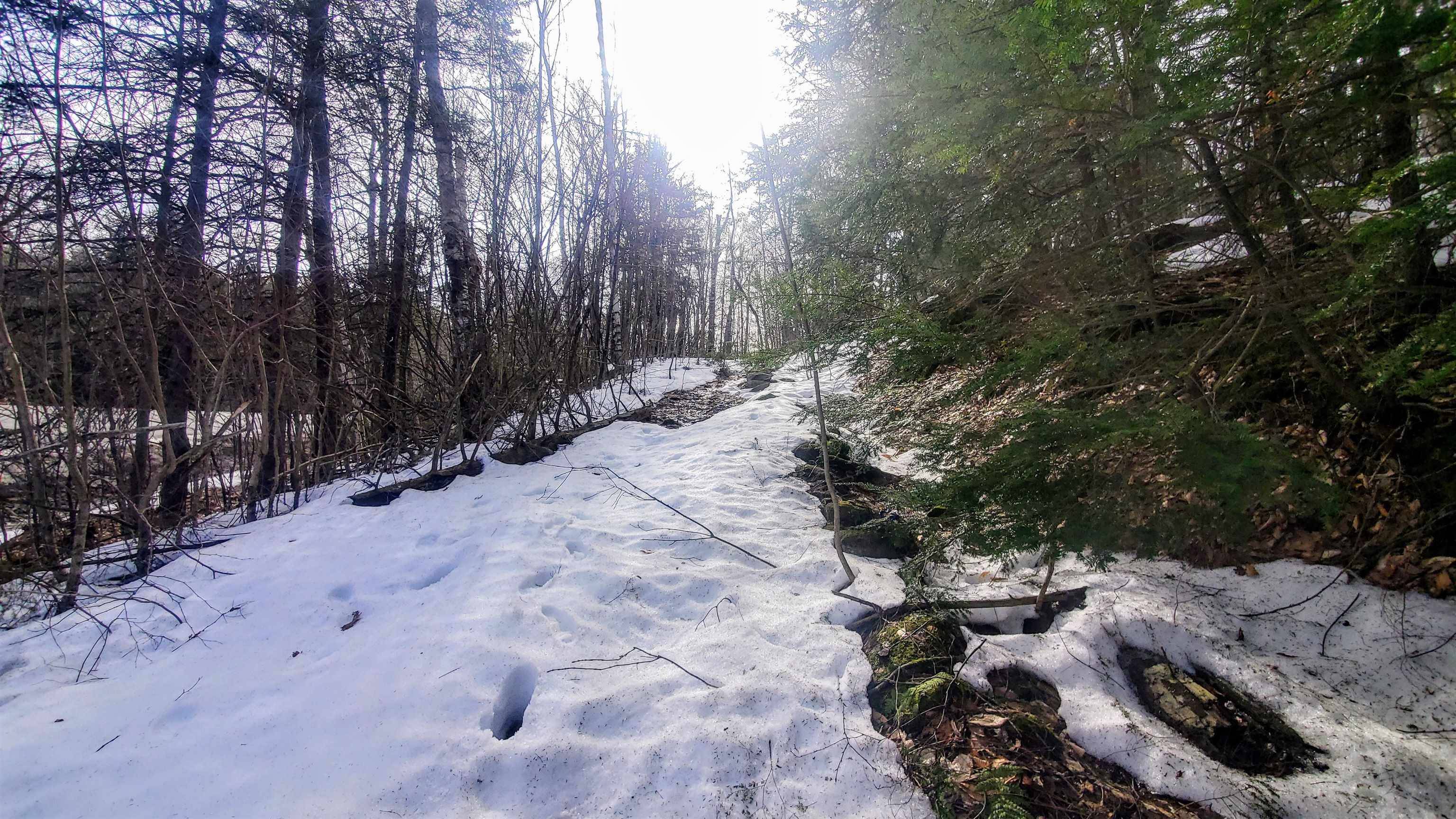 Marlboro, VT 05344,00 Route 9