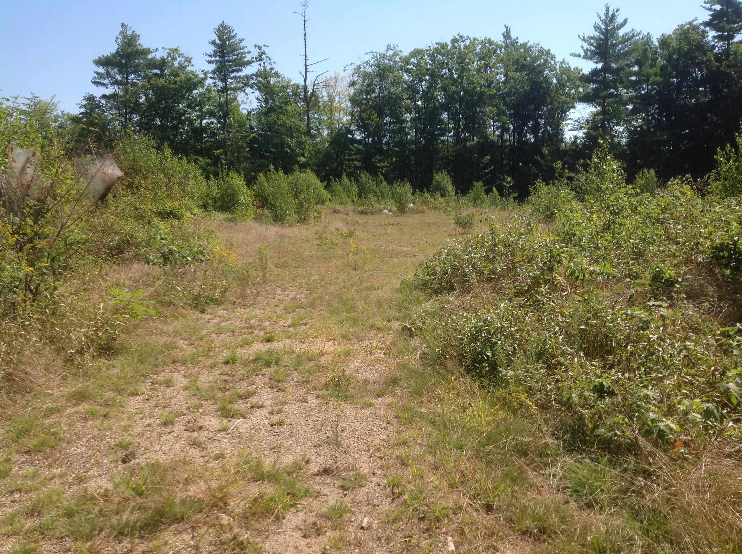 Effingham, NH 03882-4406,0 Libby RD #23