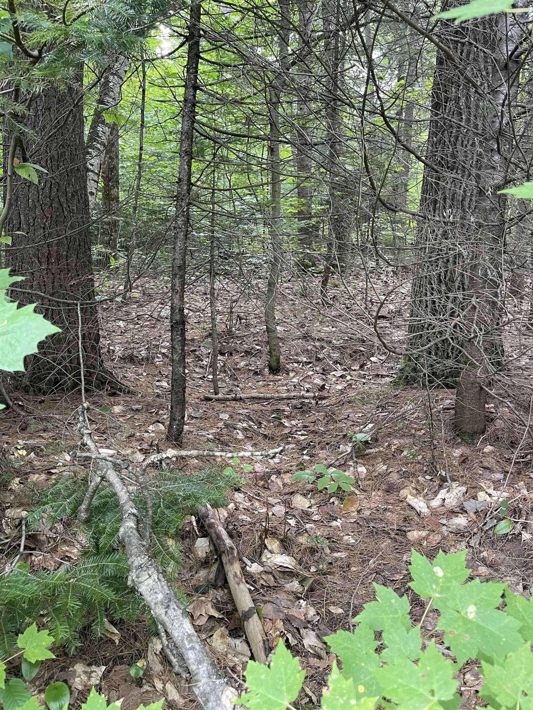 Vershire, VT 05079,Lot 10-73 Ayers RD