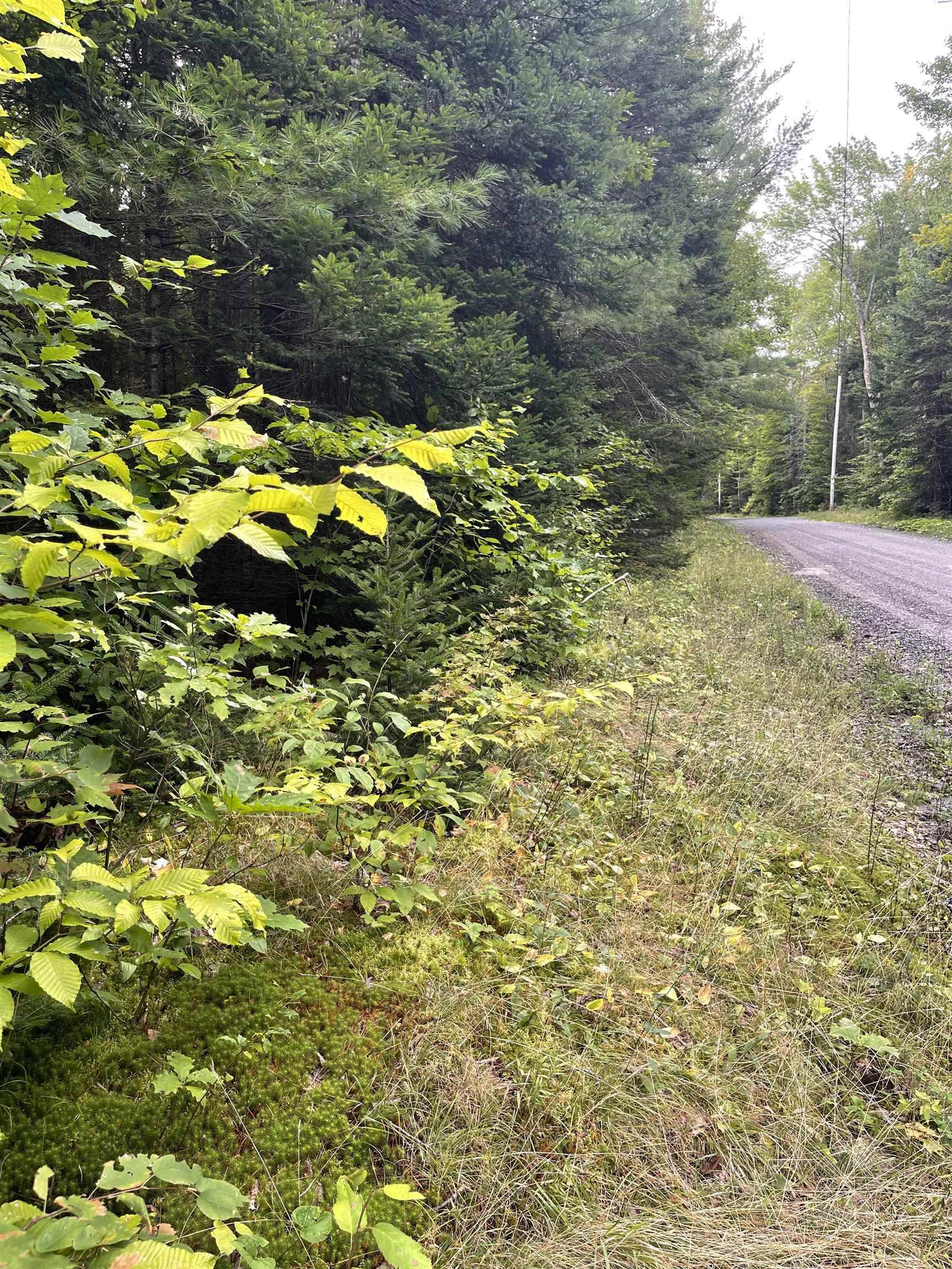 Vershire, VT 05079,Lot 10-73 Ayers RD