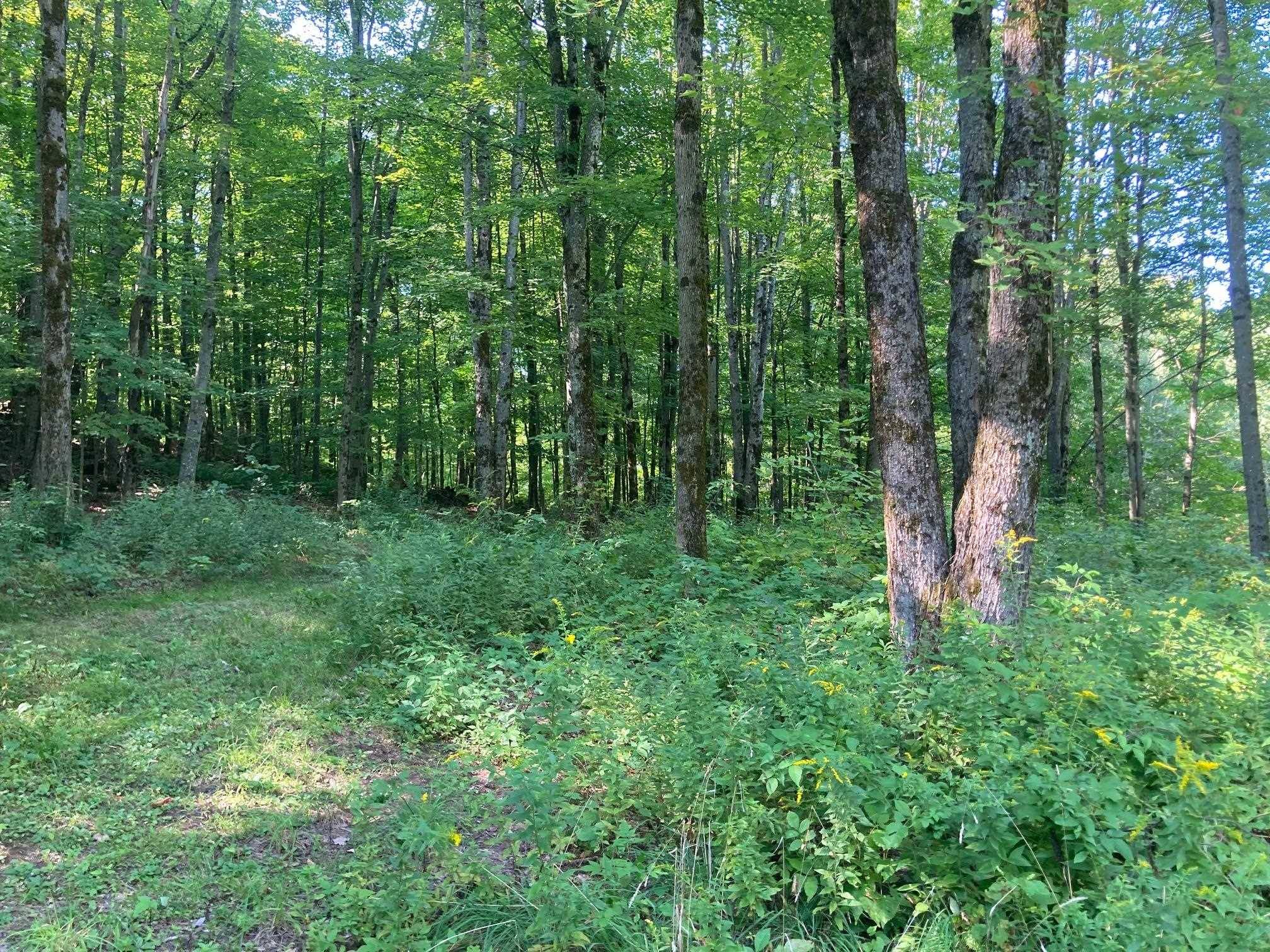 Fairfax, VT 05454,42 Wiggins RD