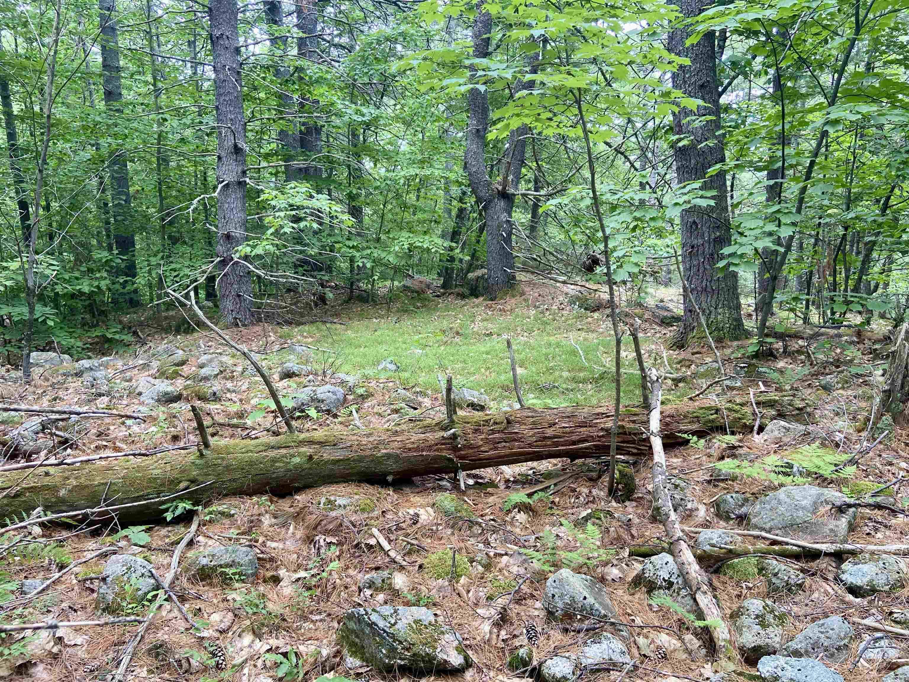 Madison, NH 03849,3 Old Town RD