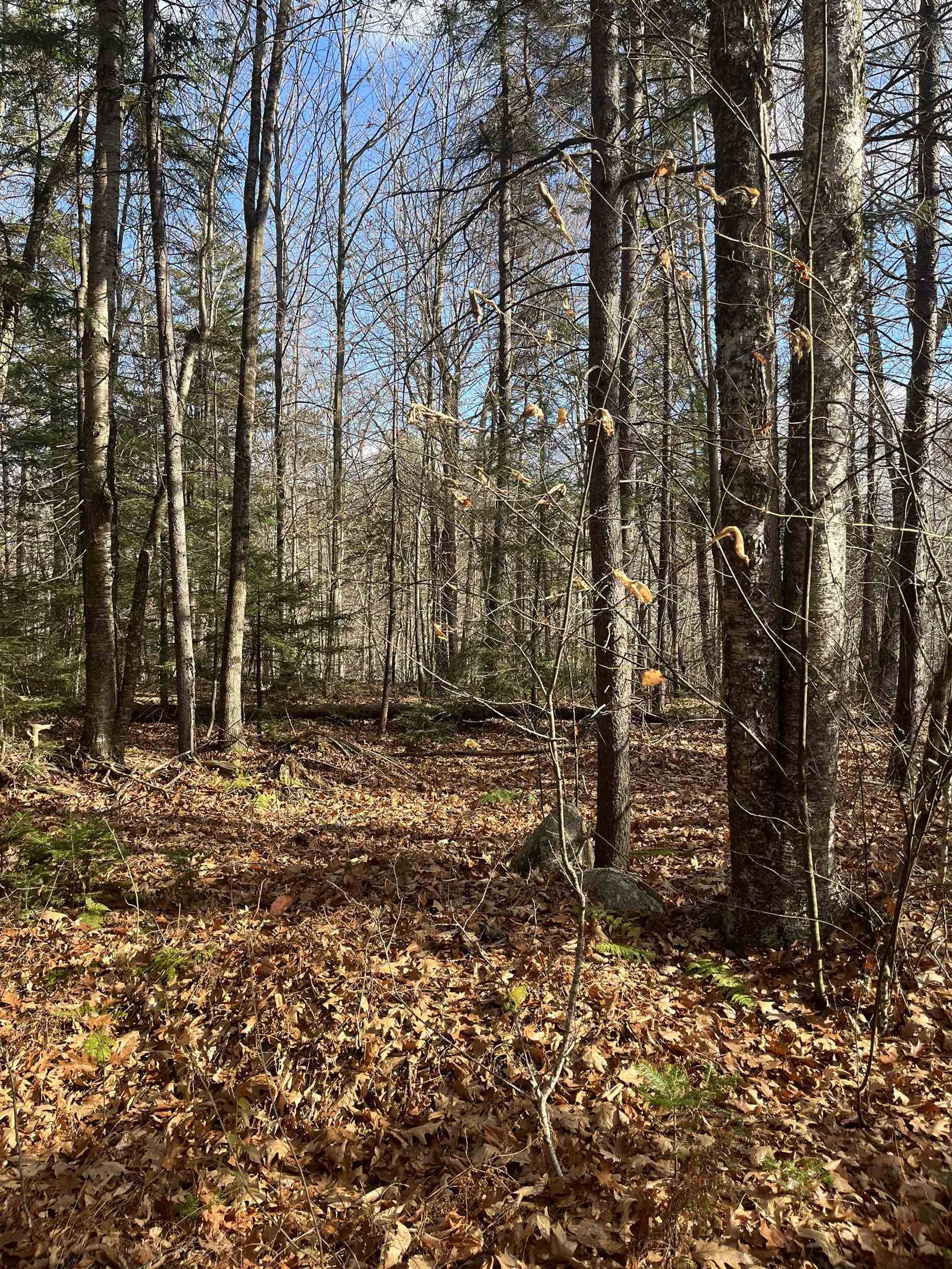 Washington, NH 03280,Faxon Hill RD #Map 11 Lot 69-1