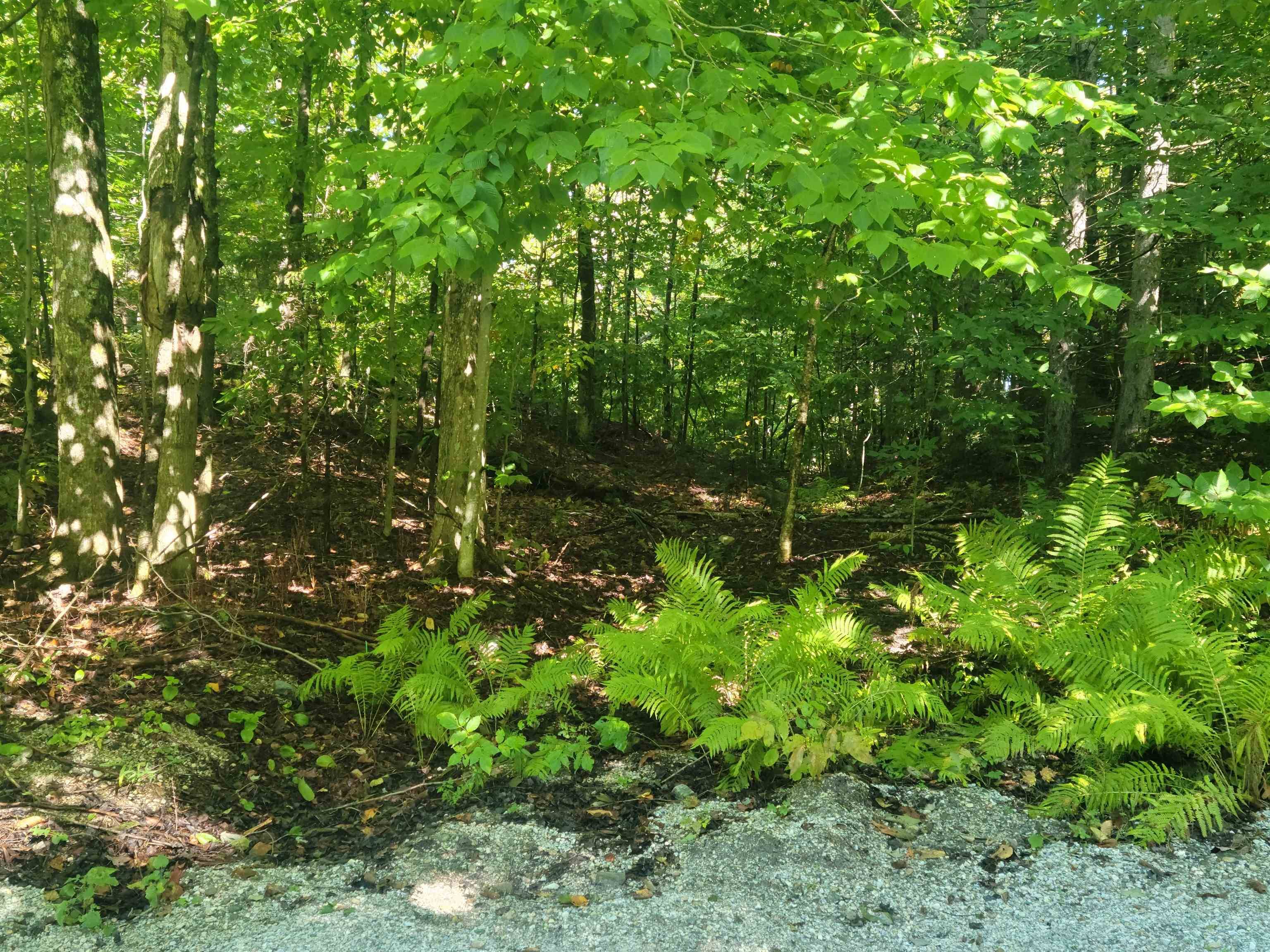 Killington, VT 05751,Lot 8 Barts Hill RD #8