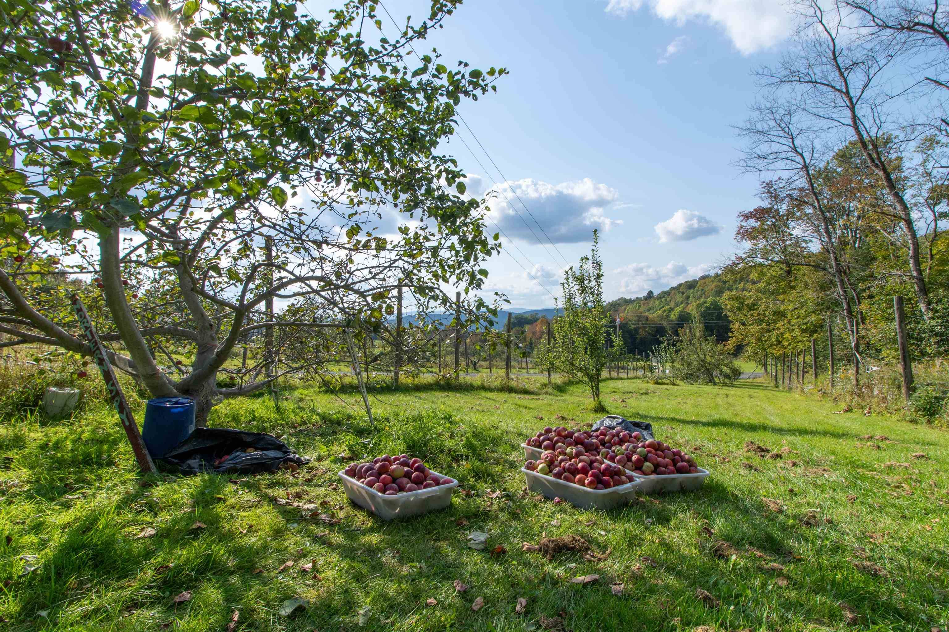 St. Johnsbury, VT 05819,2557 Spaulding RD