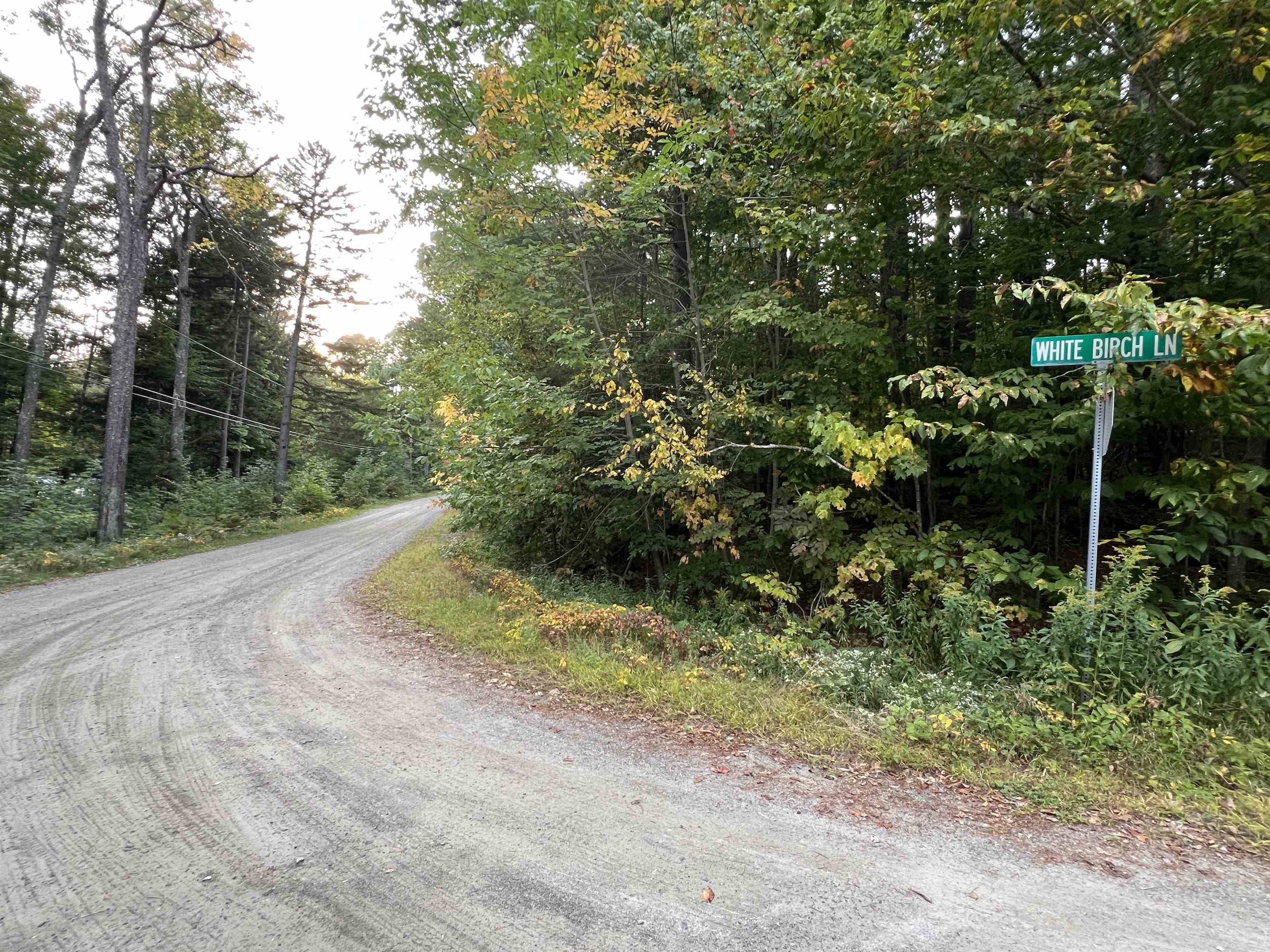 Wardsboro, VT 05355,Oak Hill RD