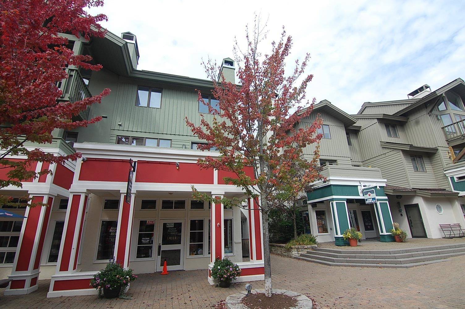 Stratton, VT 05155,51 Village Lodge RD #51