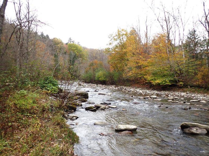 Strafford, VT 05070,Mine RD