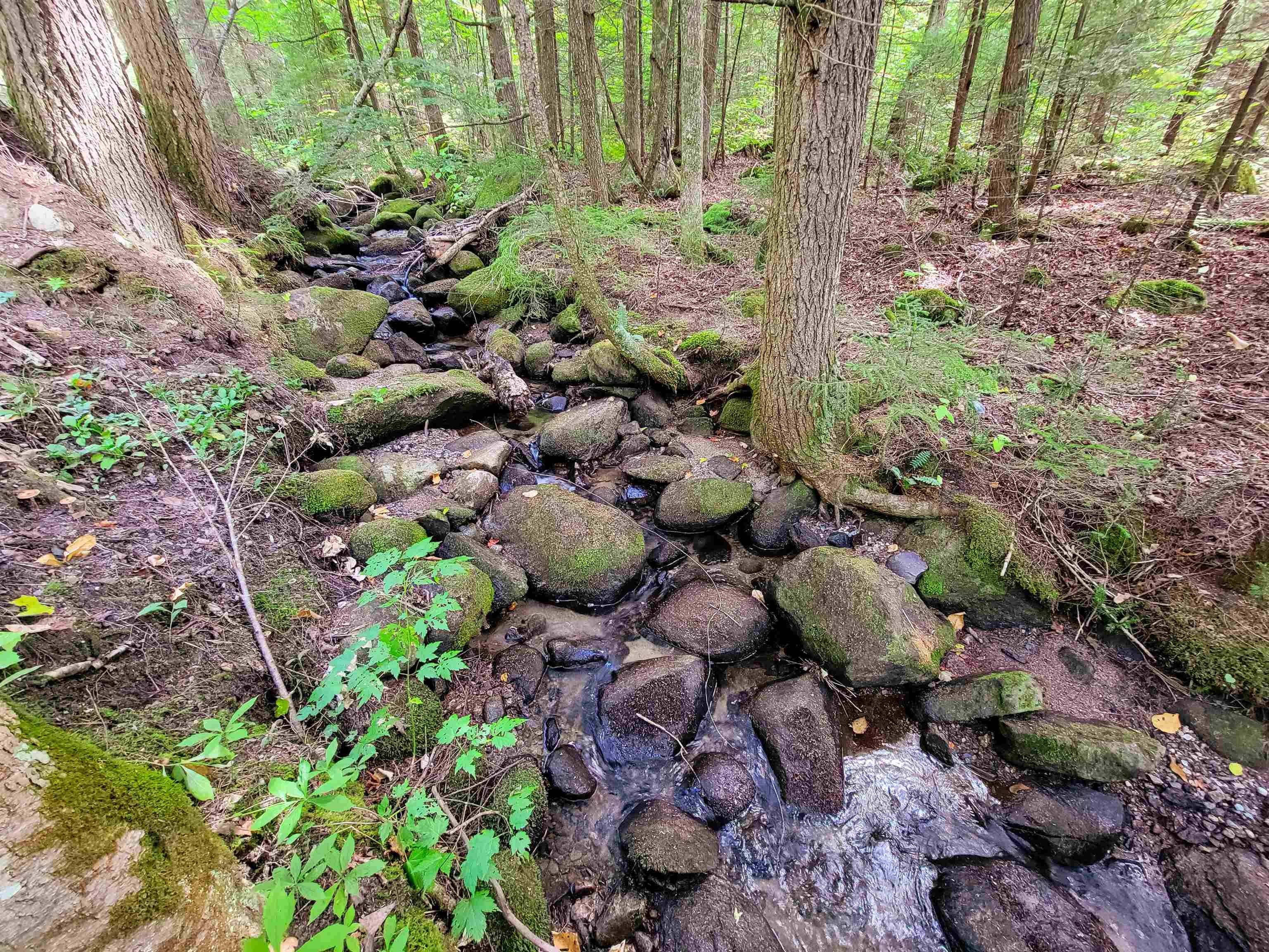 Newbury, VT 05051,2555 Fuller RD
