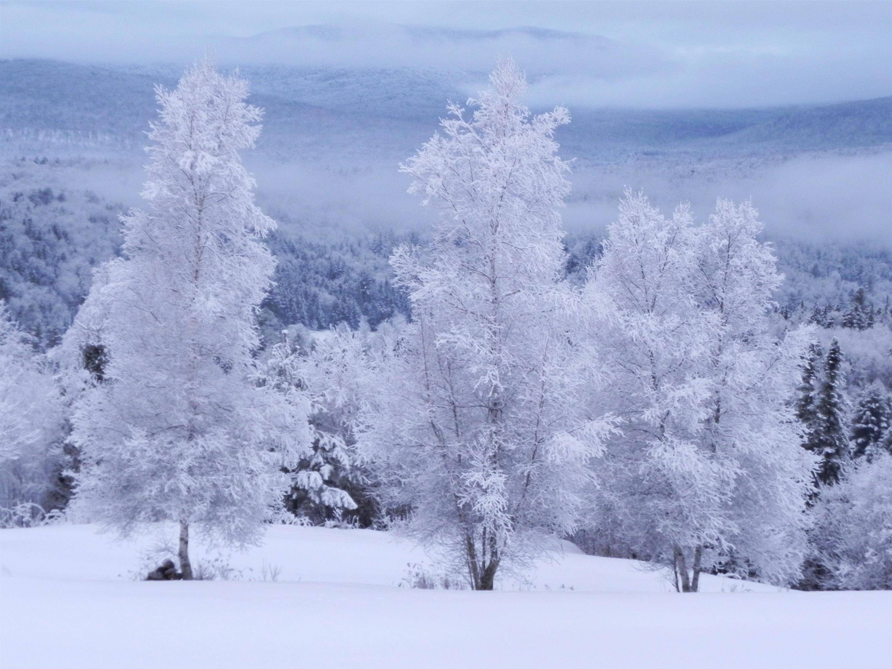 Worcester, VT 05682,0 Calais RD