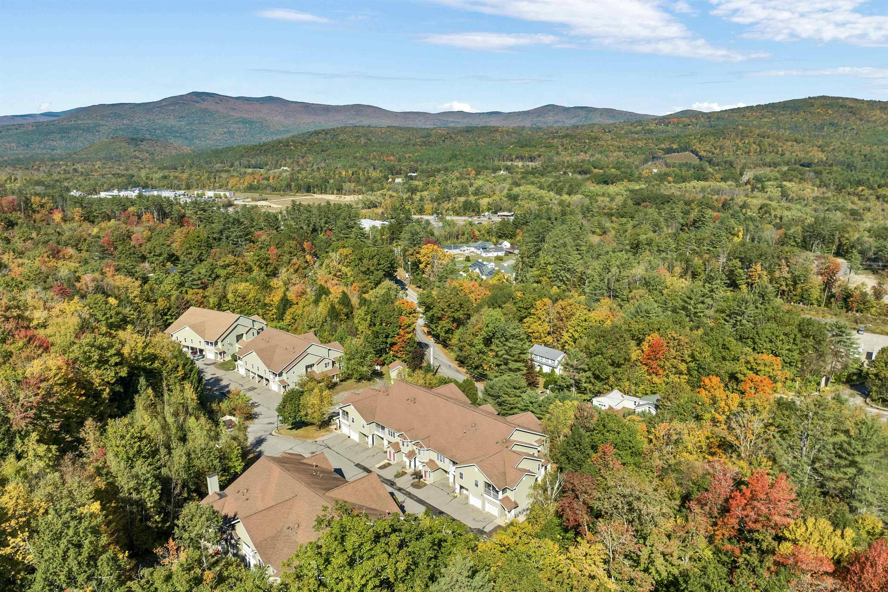 Plymouth, NH 03264,9 Blueberry Hill RD #Unit 9