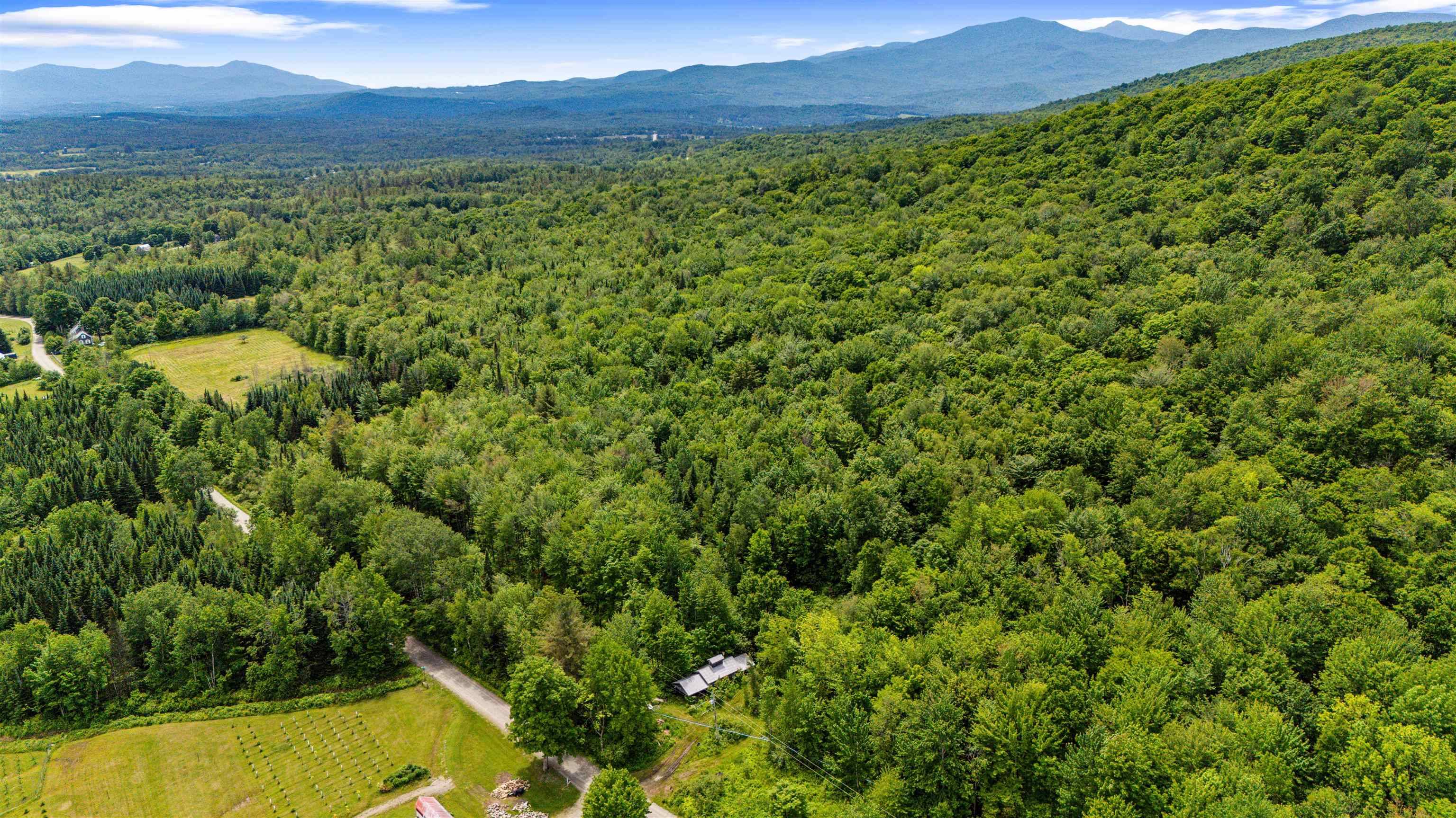 Eden, VT 05652-0000,281 Tree Farm RD