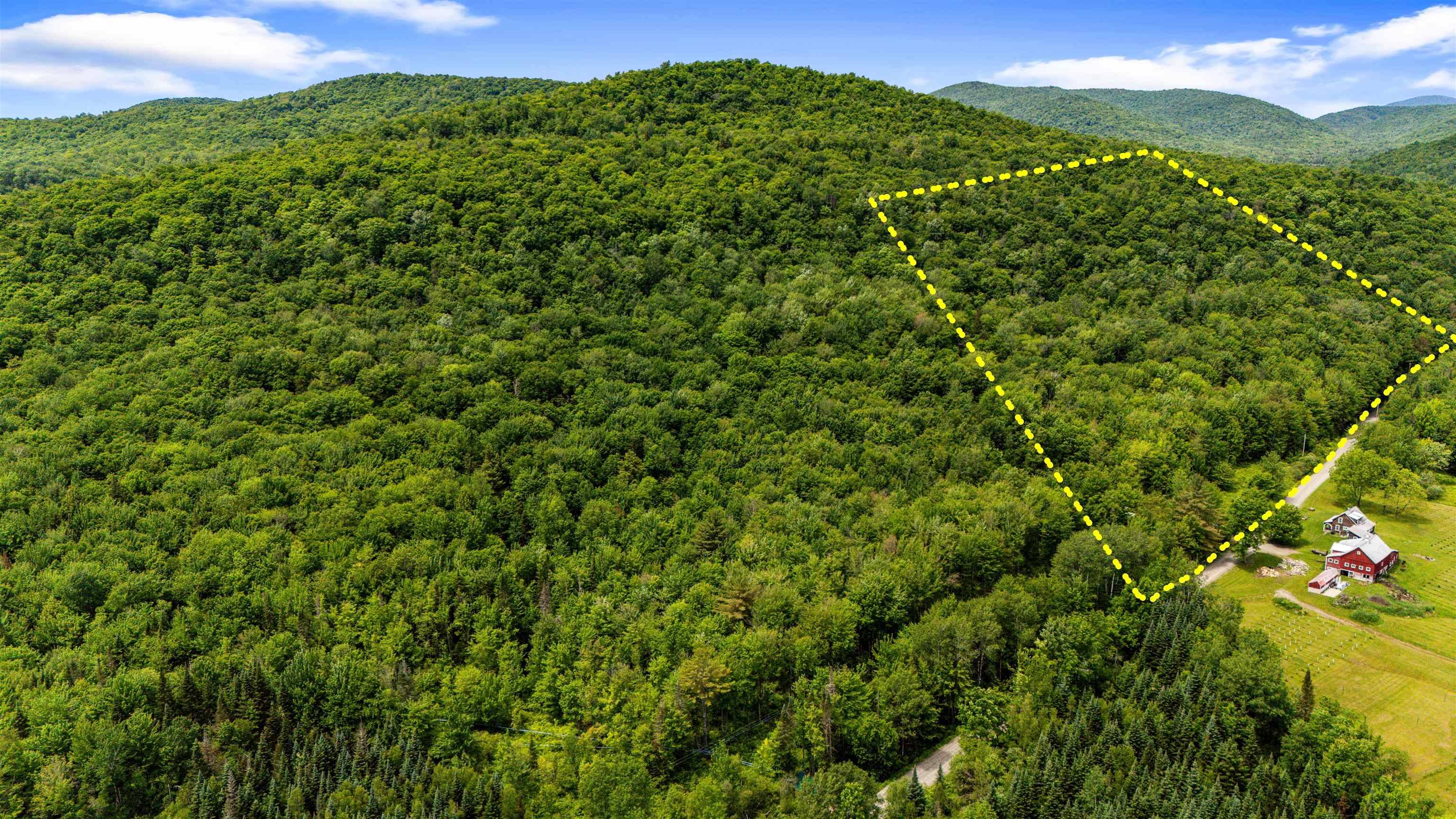 Eden, VT 05652-0000,281 Tree Farm RD