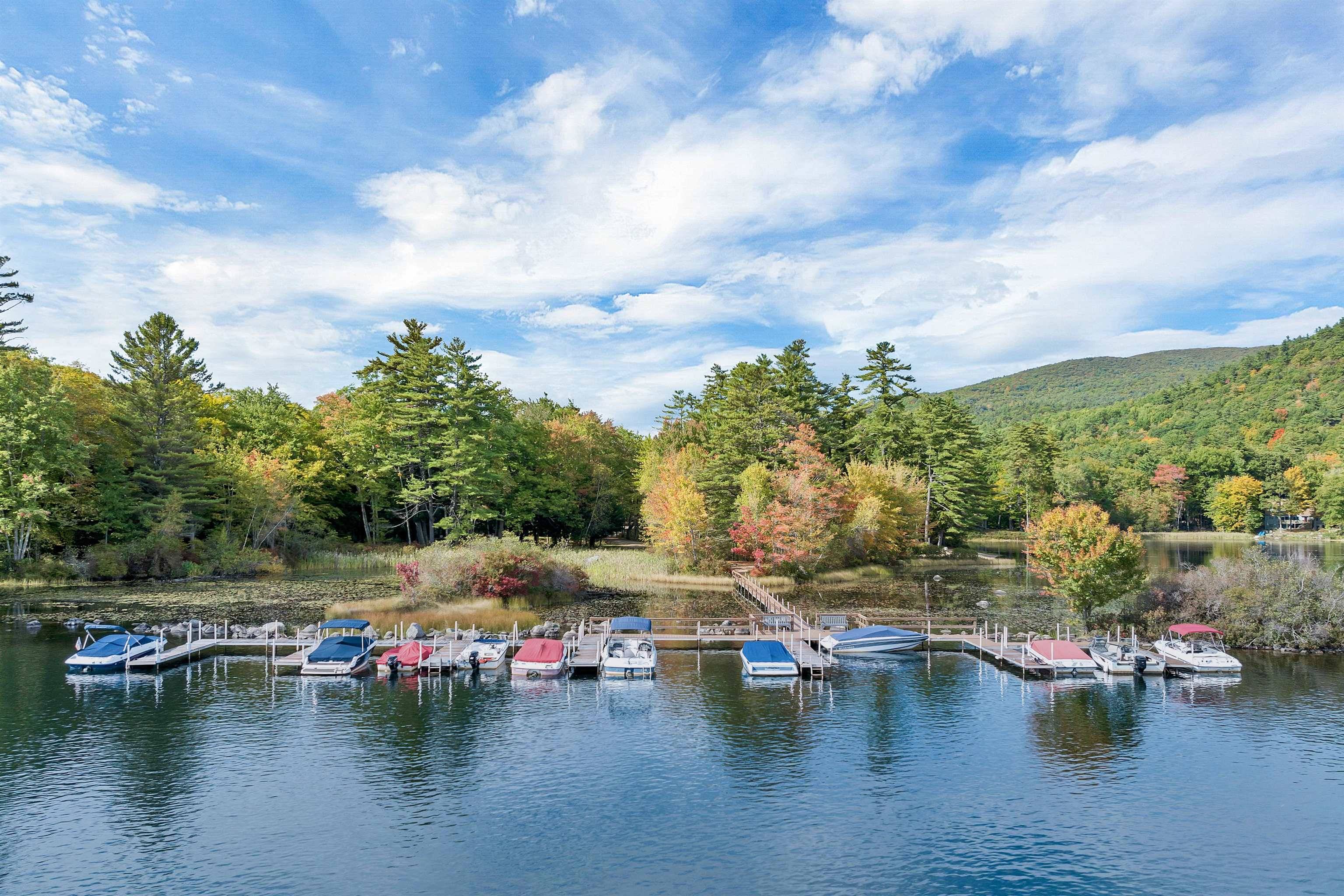 Moultonborough, NH 03254,16 Hornbeam HOLW