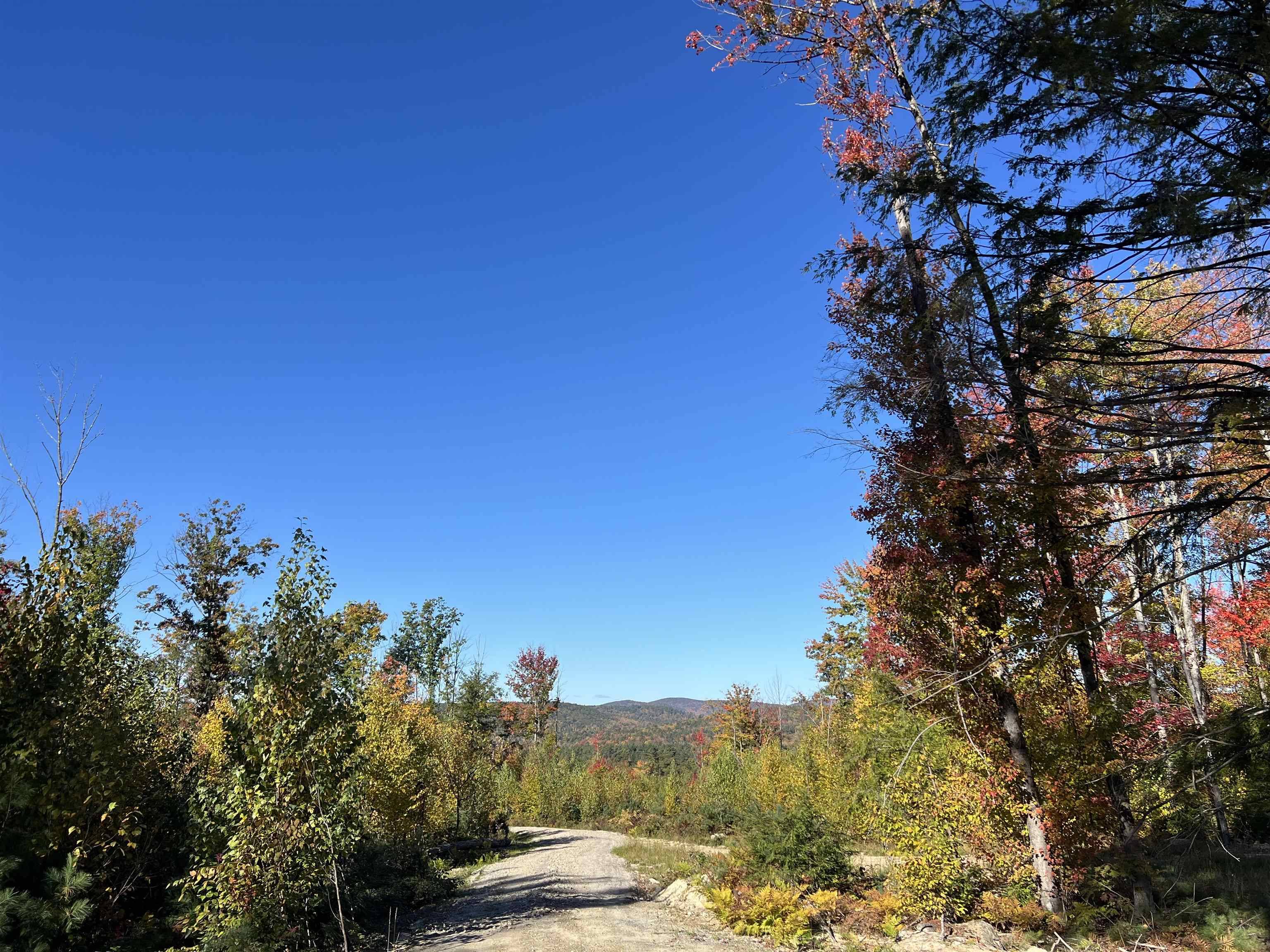 Henniker, NH 03242,Patterson Hill RD