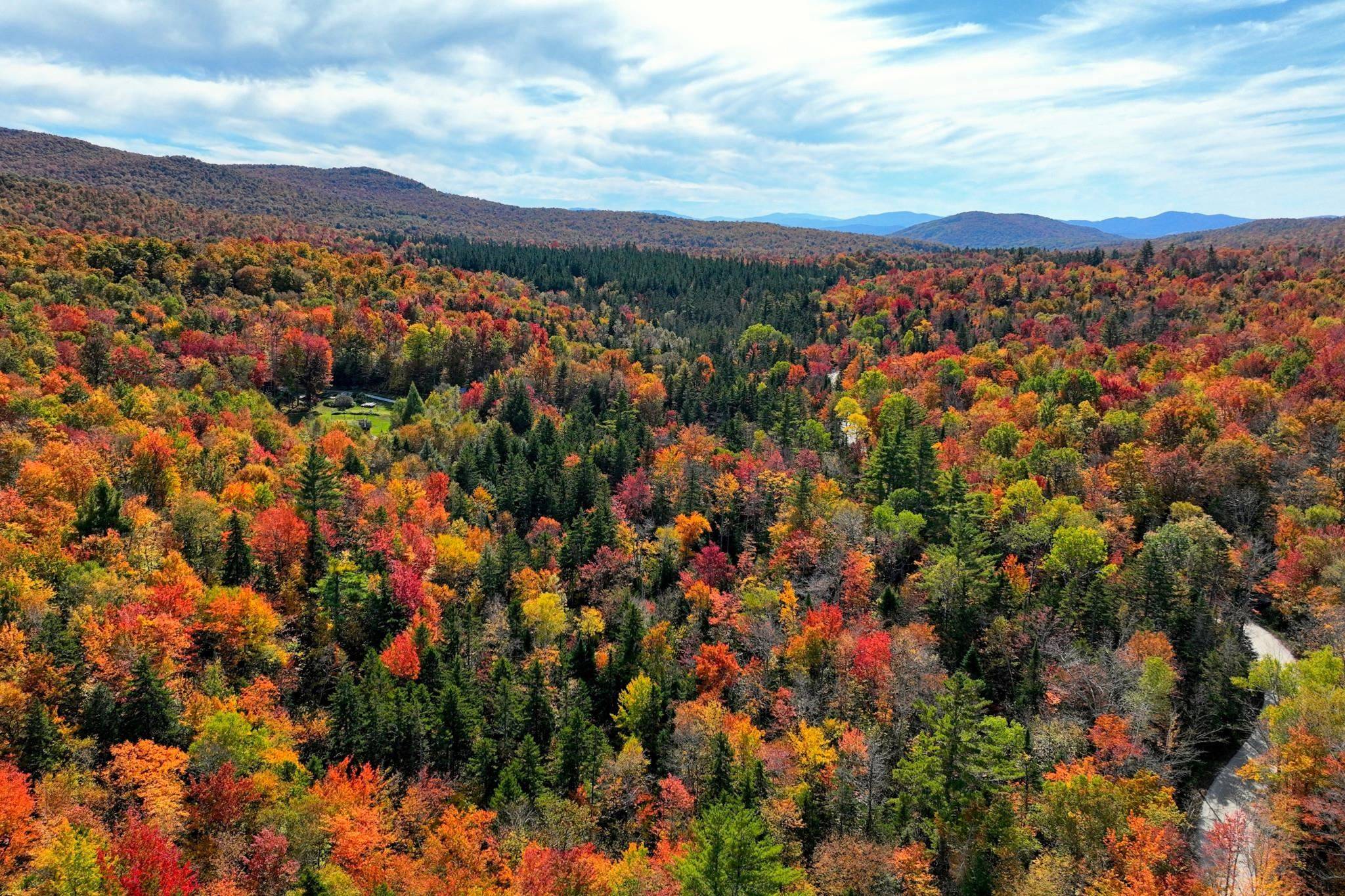 Mendon, VT 05701,Wheelerville RD