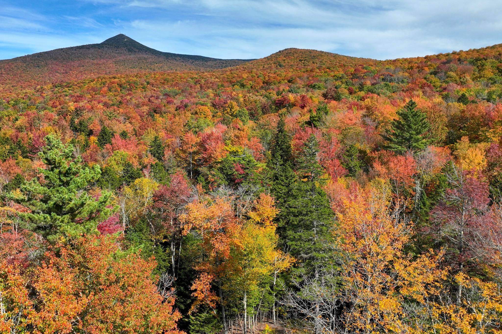 Mendon, VT 05701,Wheelerville RD