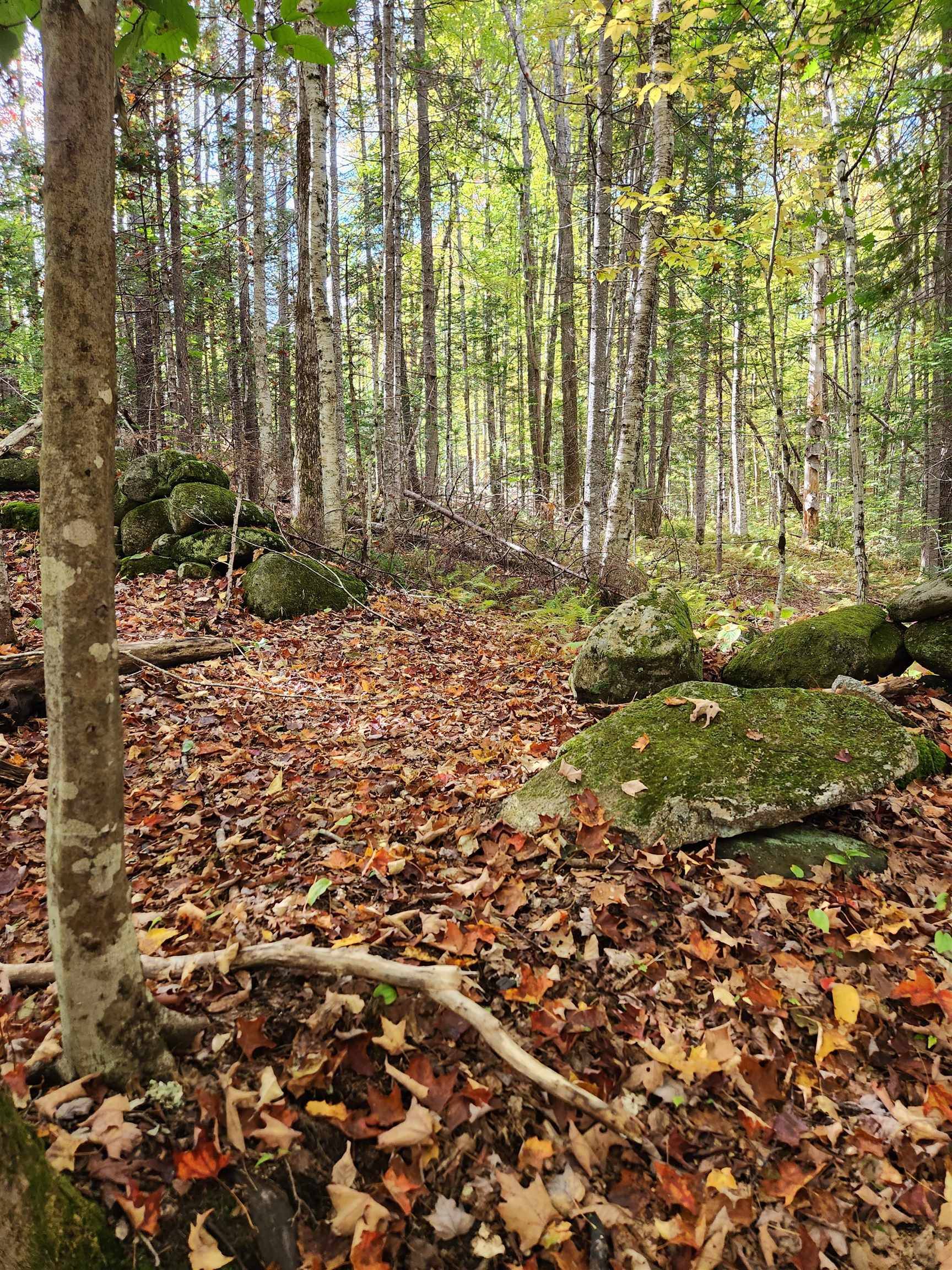 Groton, NH 03241,Off Groton North RD #56