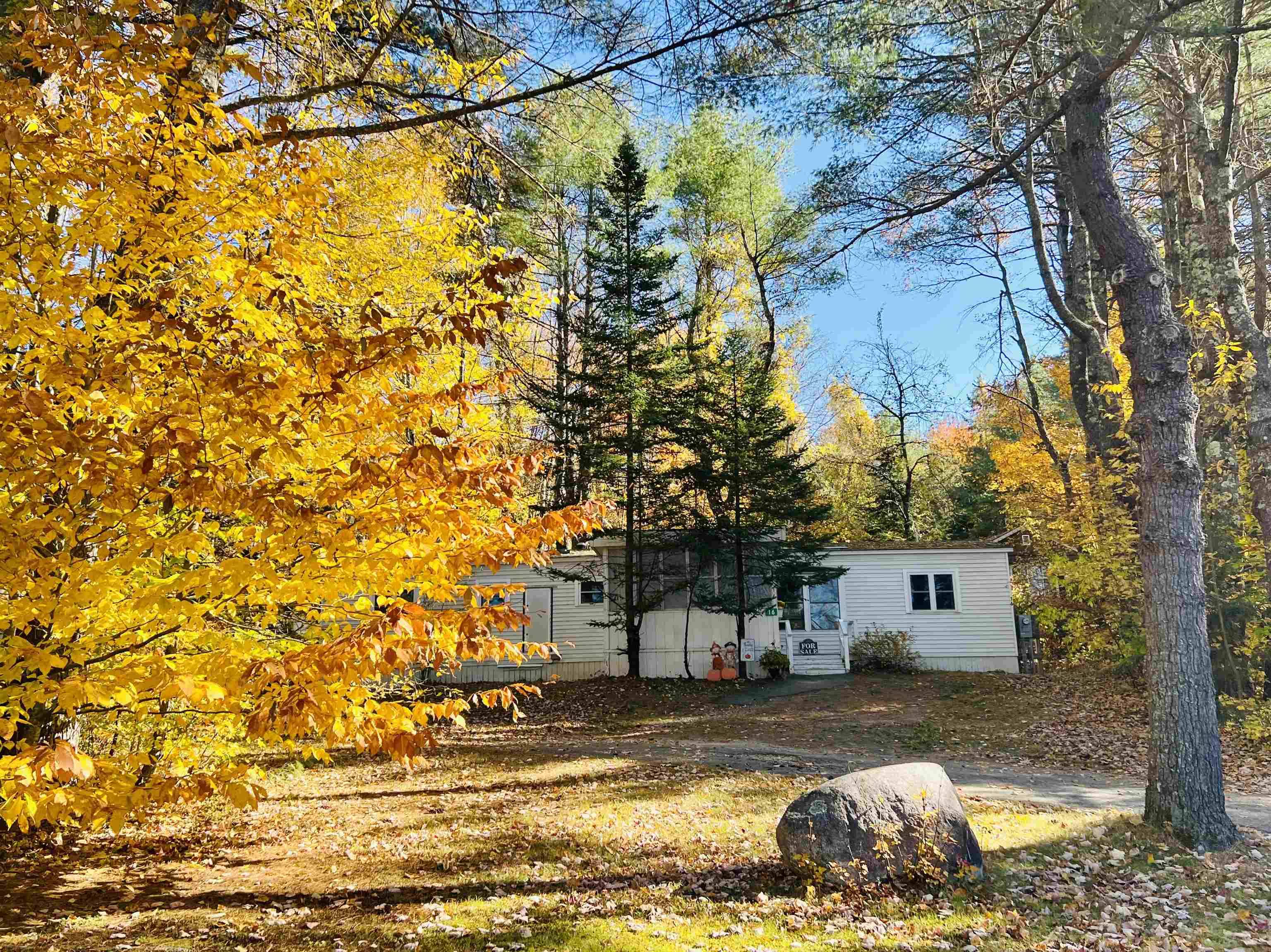 Tuftonboro, NH 03816,16 Fir Tree LN