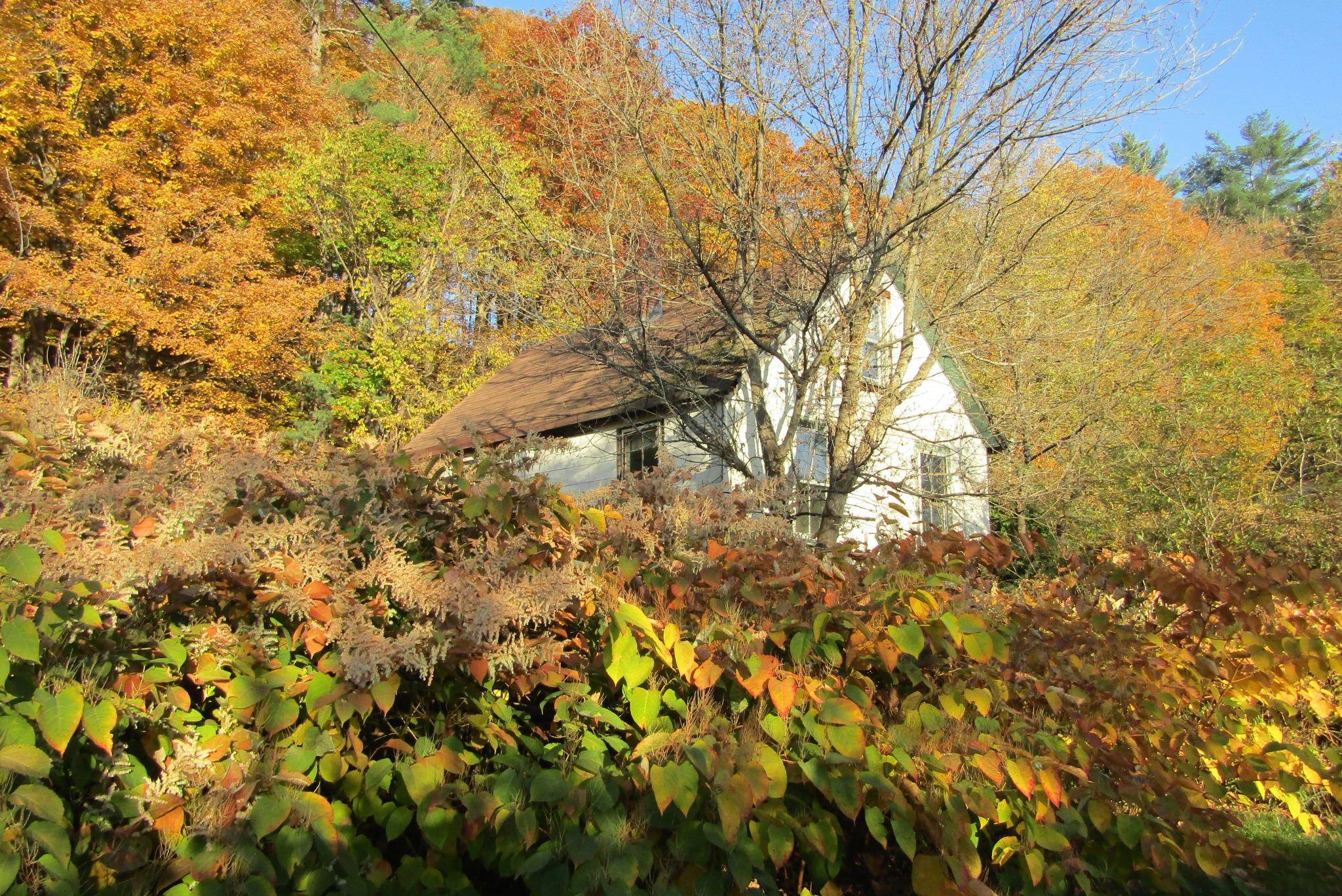 Haverhill, NH 03765,7 Tannery RD