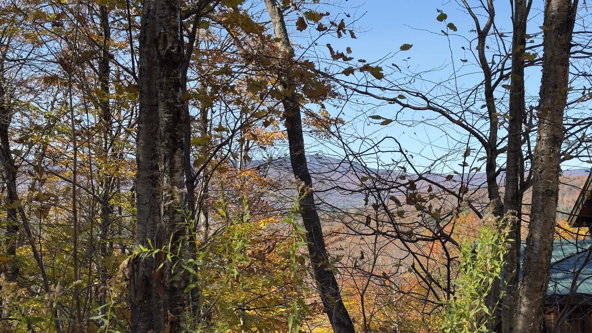 Dover, VT 05356,15 Running Sap LN