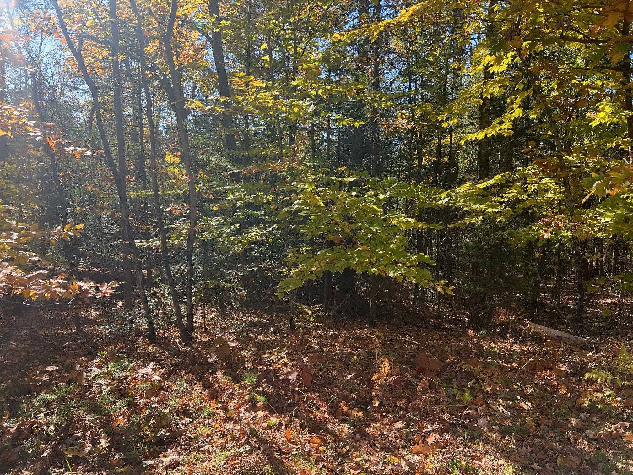 Moultonborough, NH 03254,Lot#2 Shaker Jerry RD