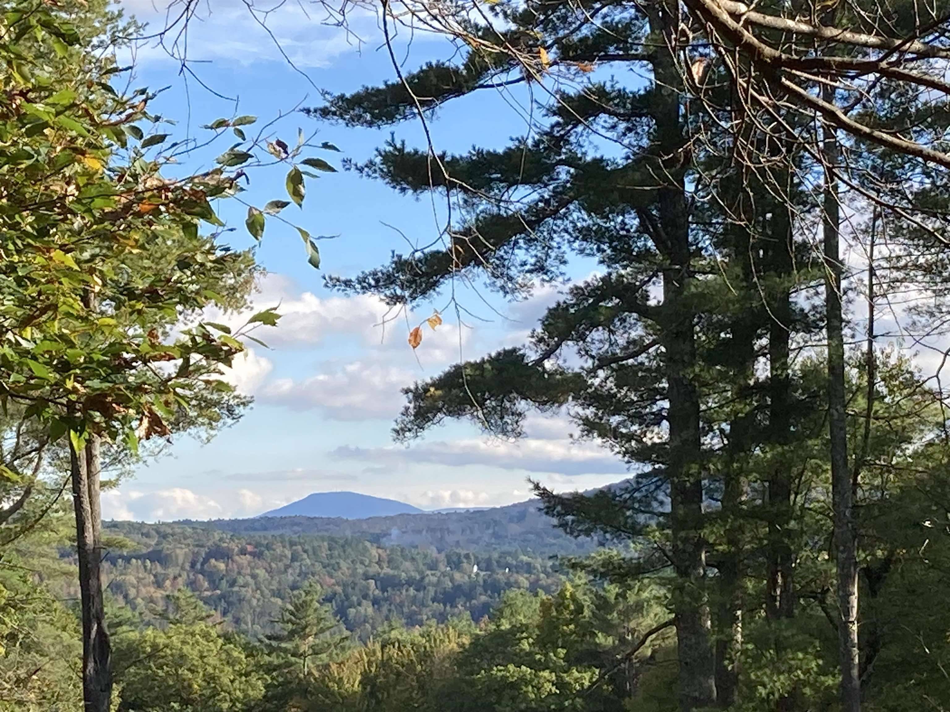 Grafton, NH 03240,Cherry Hill RD