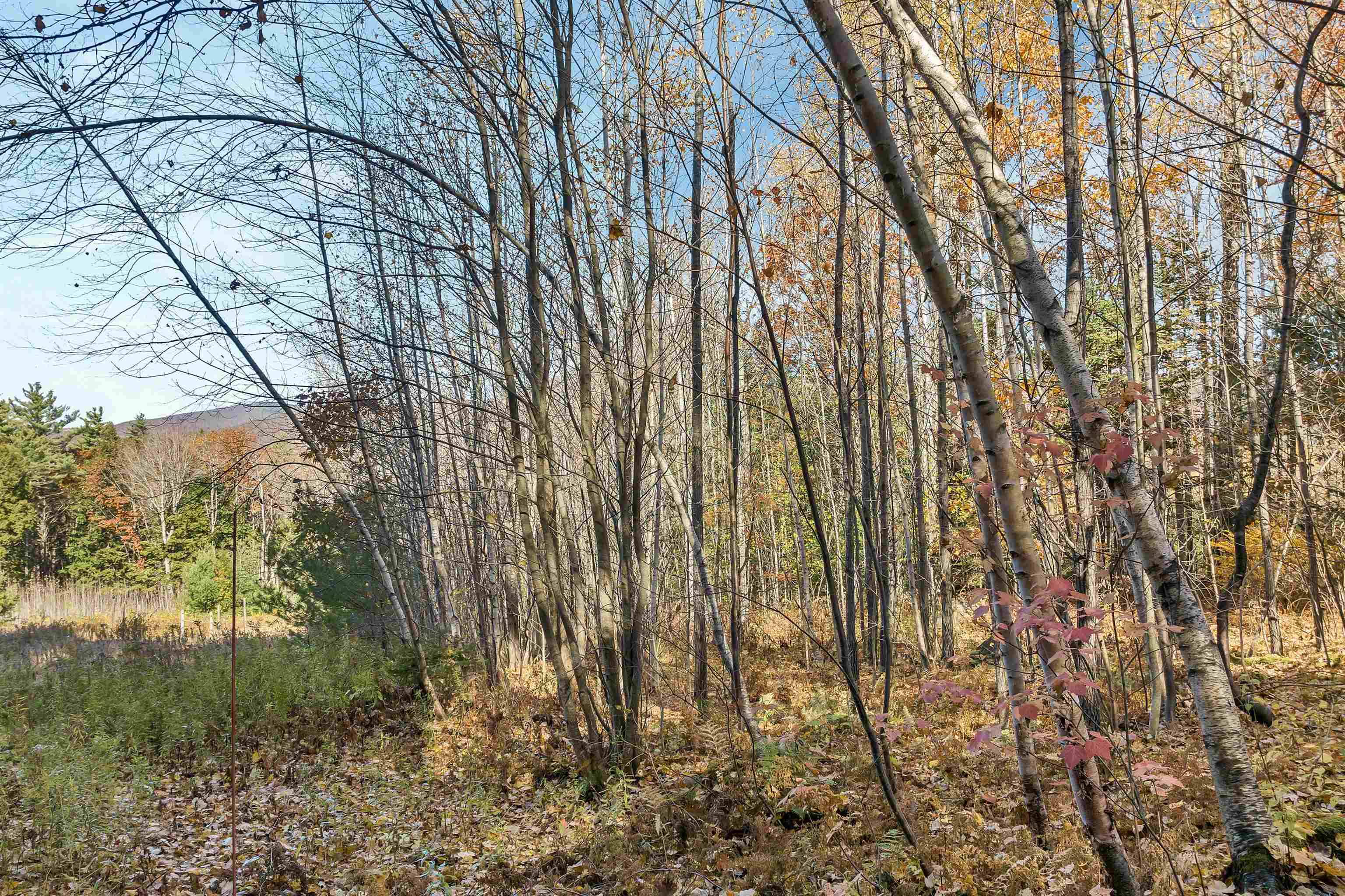 Tuftonboro, NH 03850,31 Hillcrest DR