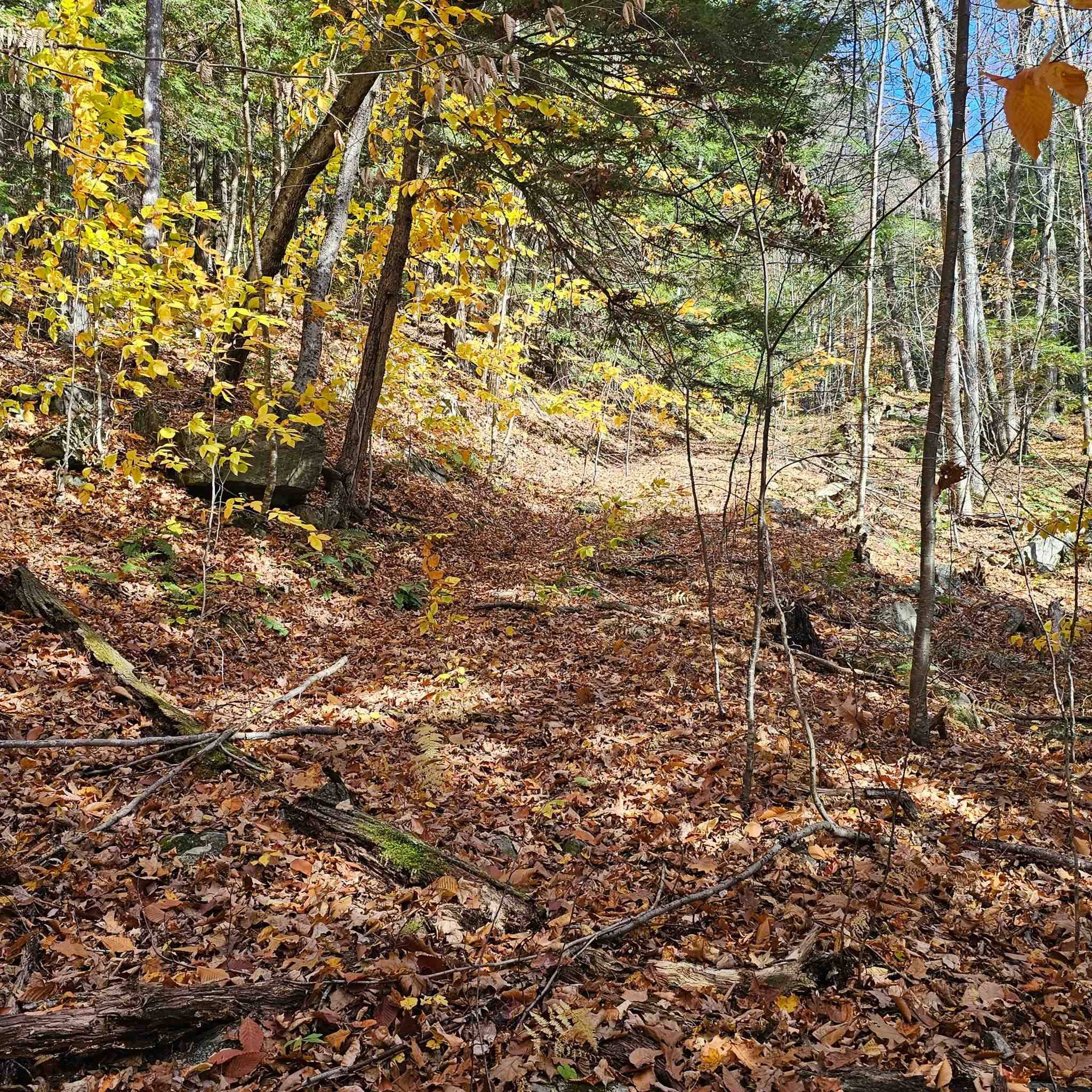 Chester, VT 05143,Hall RD