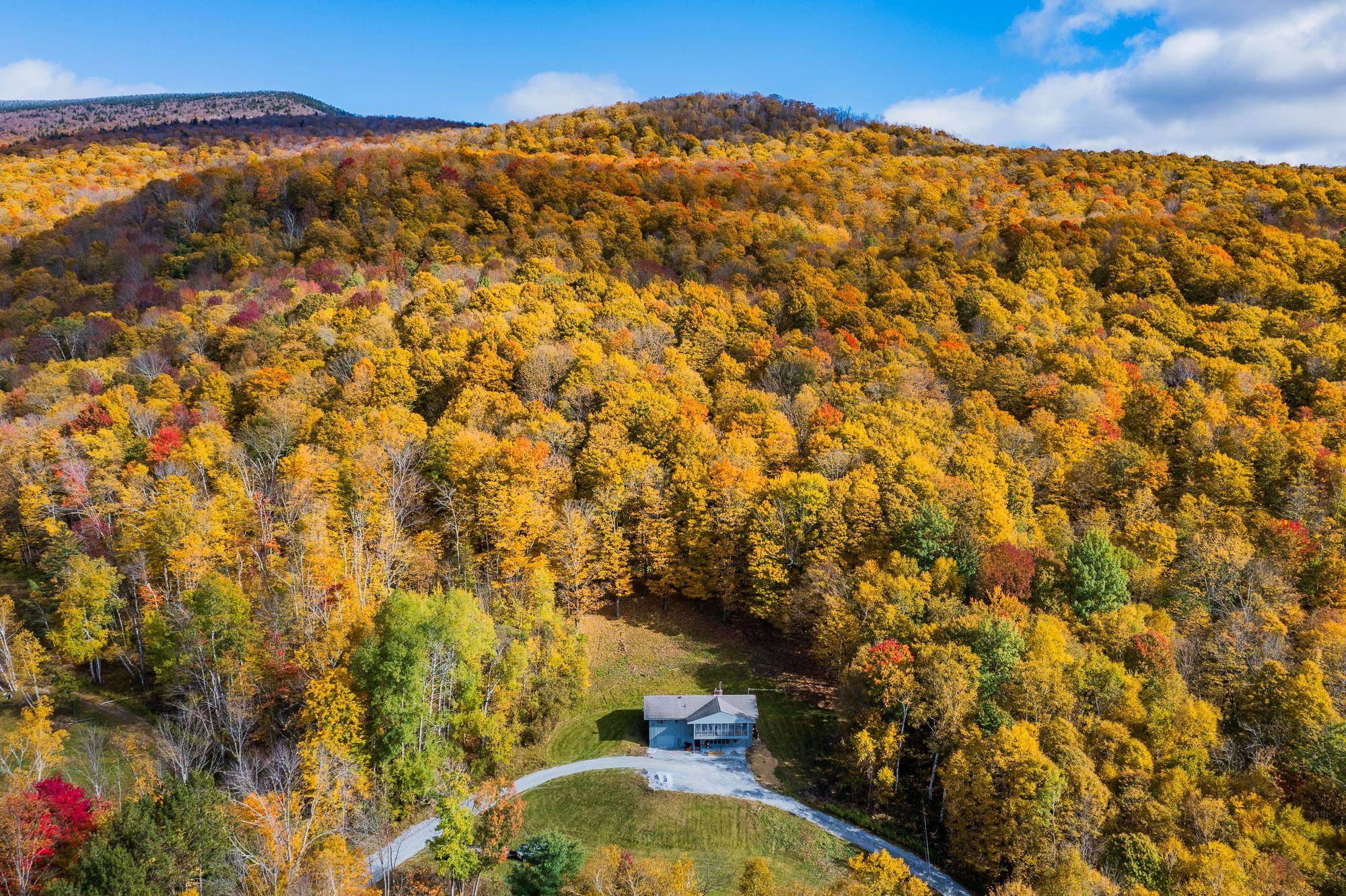 Dorset, VT 05251,2354 Danby Mountain RD