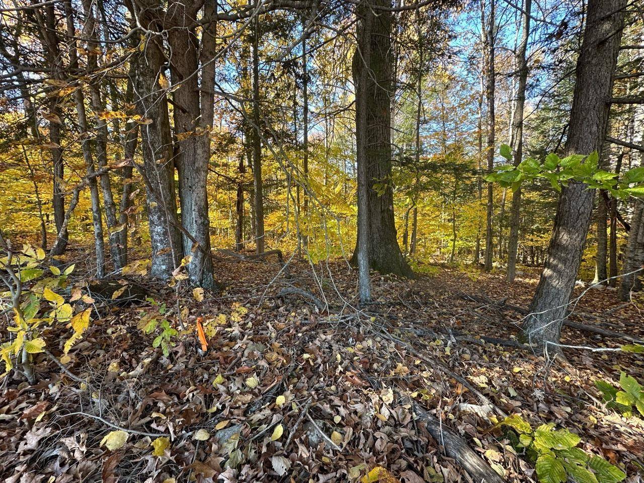 Guilford, VT 05301,184 Dupre DR