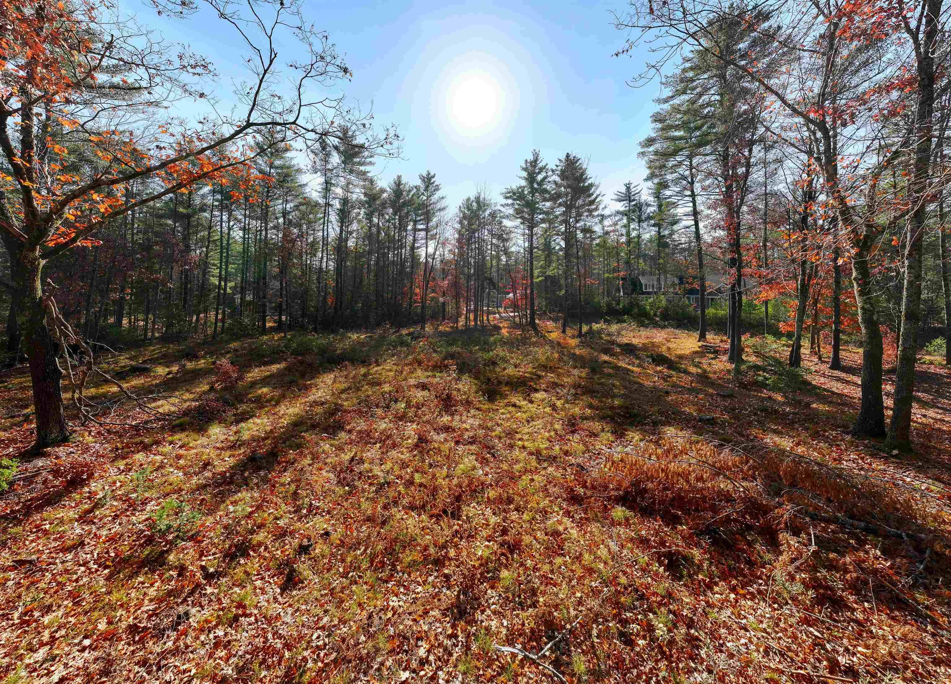 Tuftonboro, NH 03816,Lot 42 Winchester LN