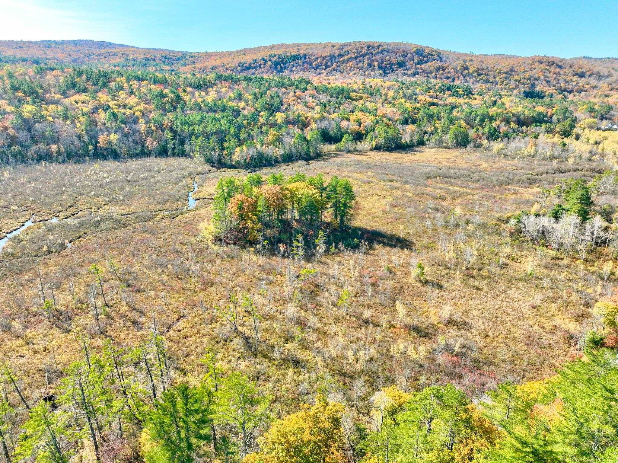 Grafton, NH 03240,00 Riddle Hill RD