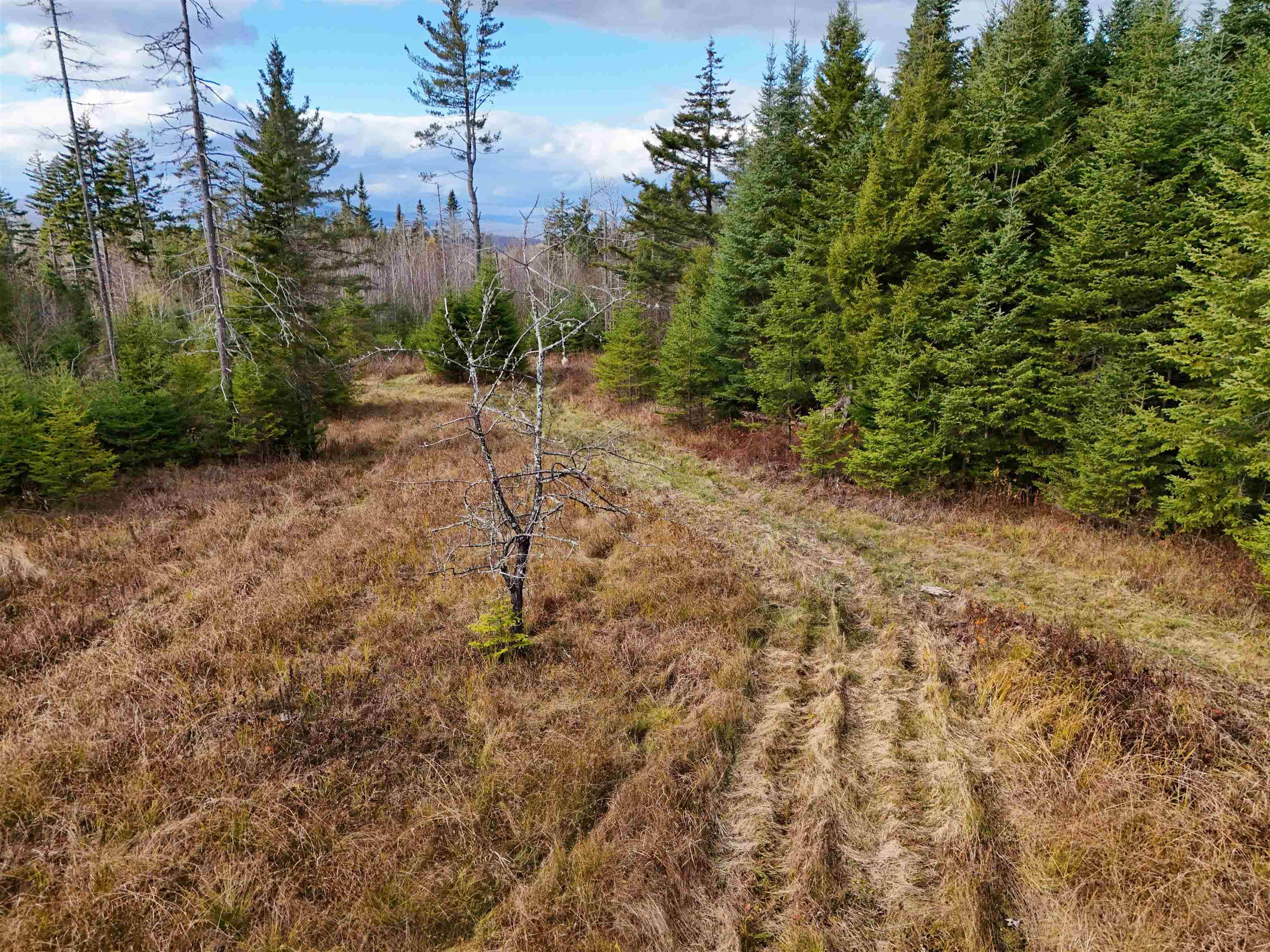 190 Victory RD Kirby, VT 05819