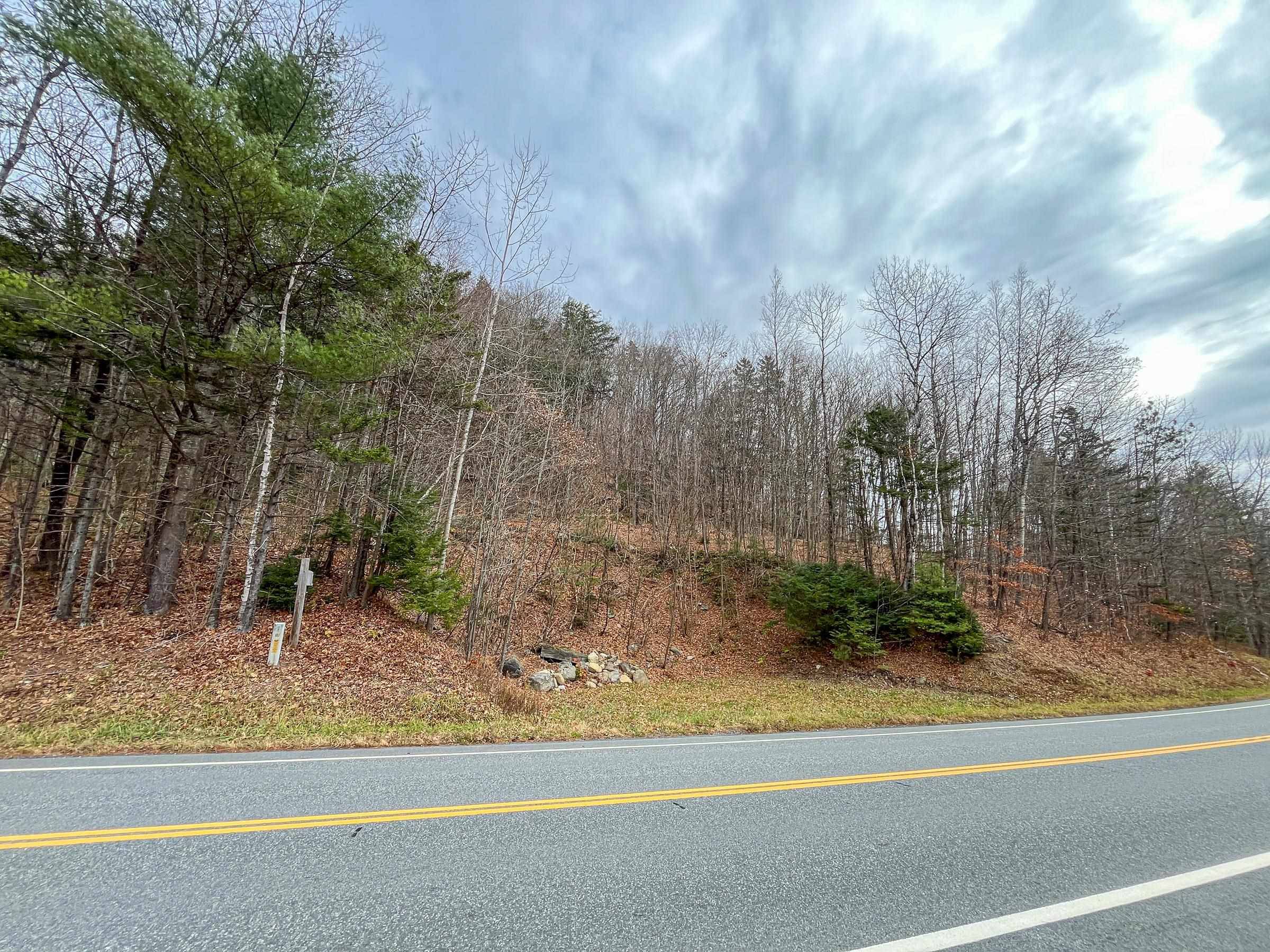 Plymouth, VT 05056,TBD Route 100
