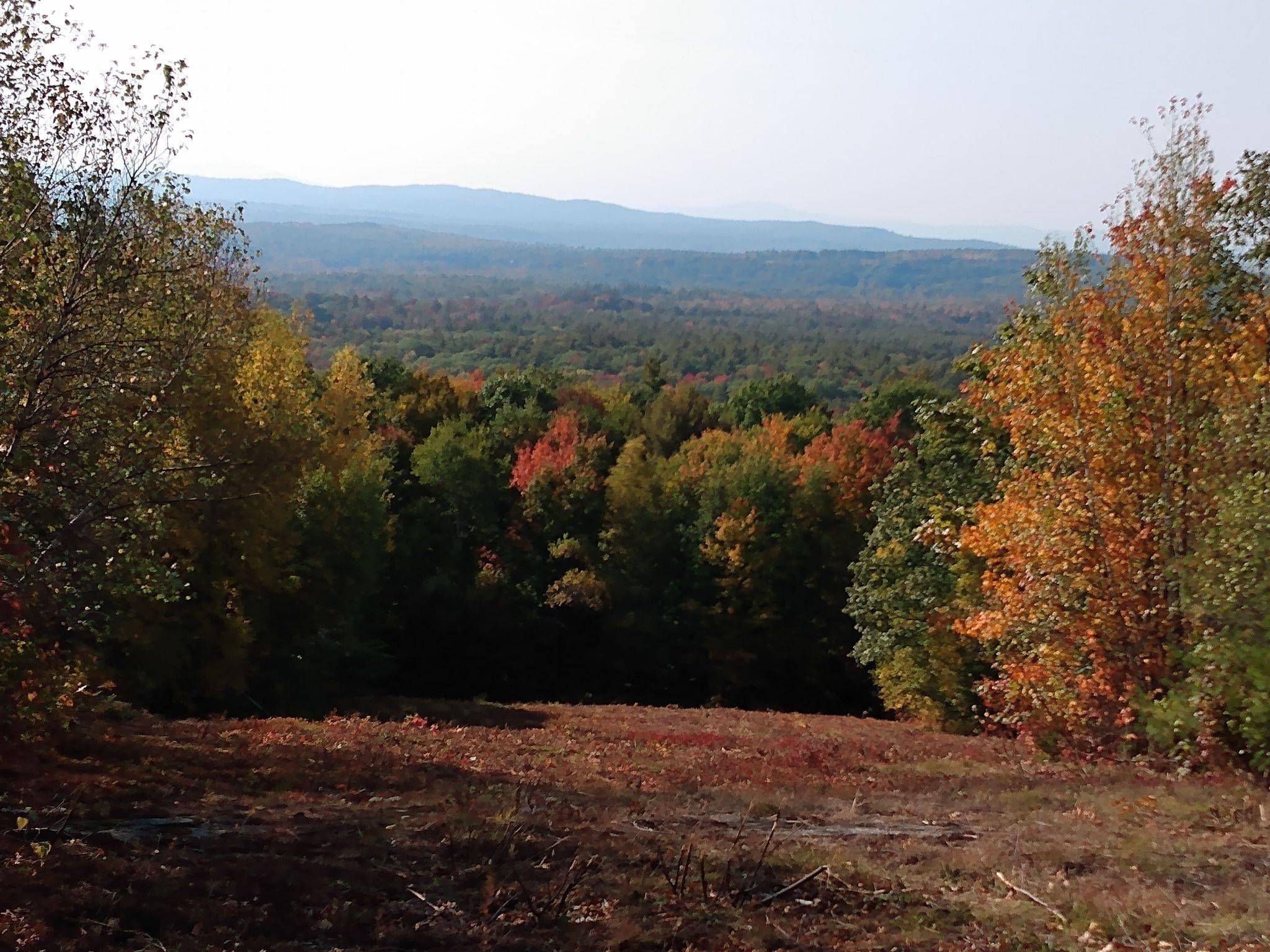 Gilmanton, NH 03237,000 Thistle RD #Tax Map 423 Lot 48