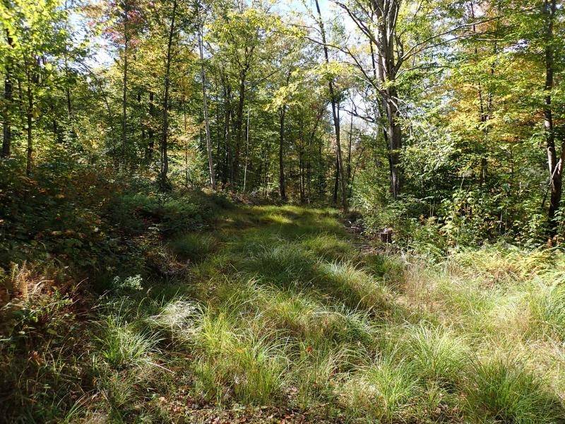 Jamaica, VT 05343,West Hill RD