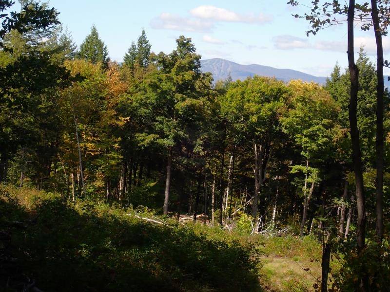 Jamaica, VT 05343,West Hill RD
