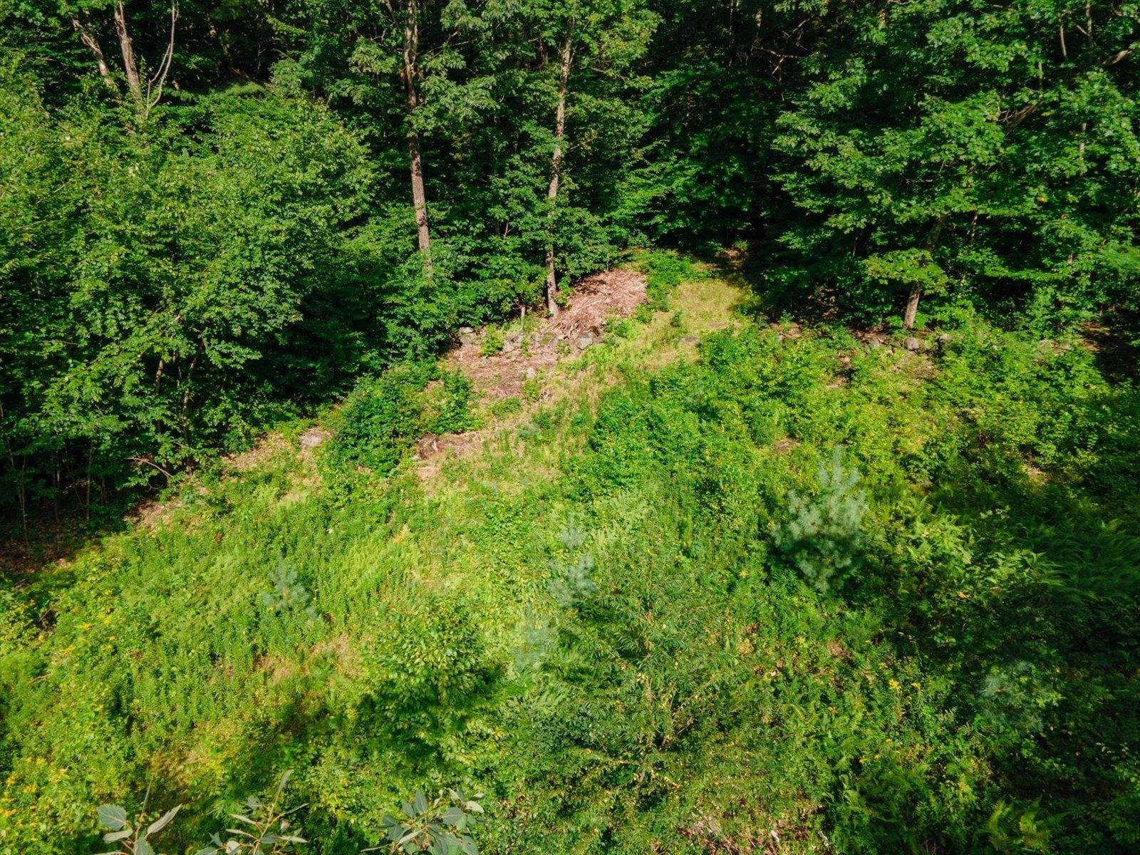 Dublin, NH 03444,Cobb Meadow RD #65-66